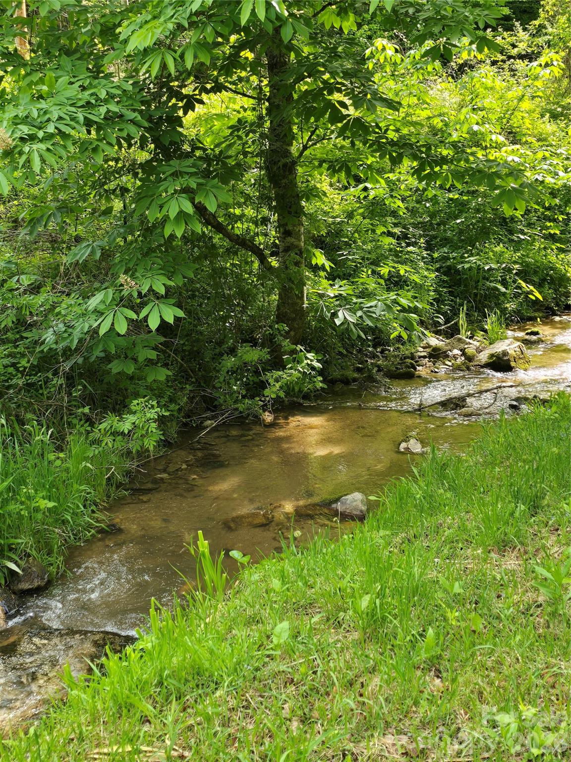 99999 Roaring Fork Road Property Photo 5