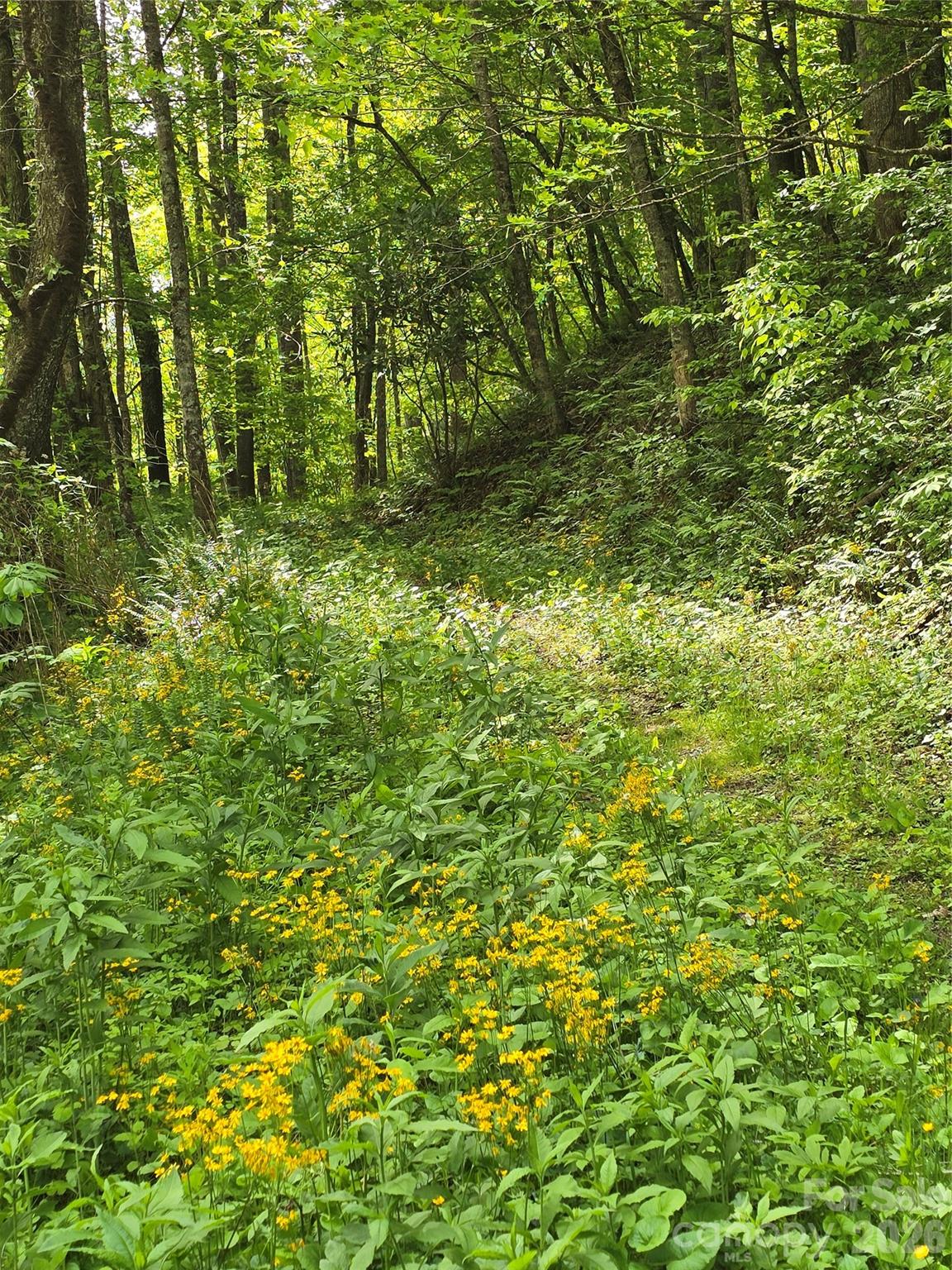 99999 Roaring Fork Road Property Photo 10