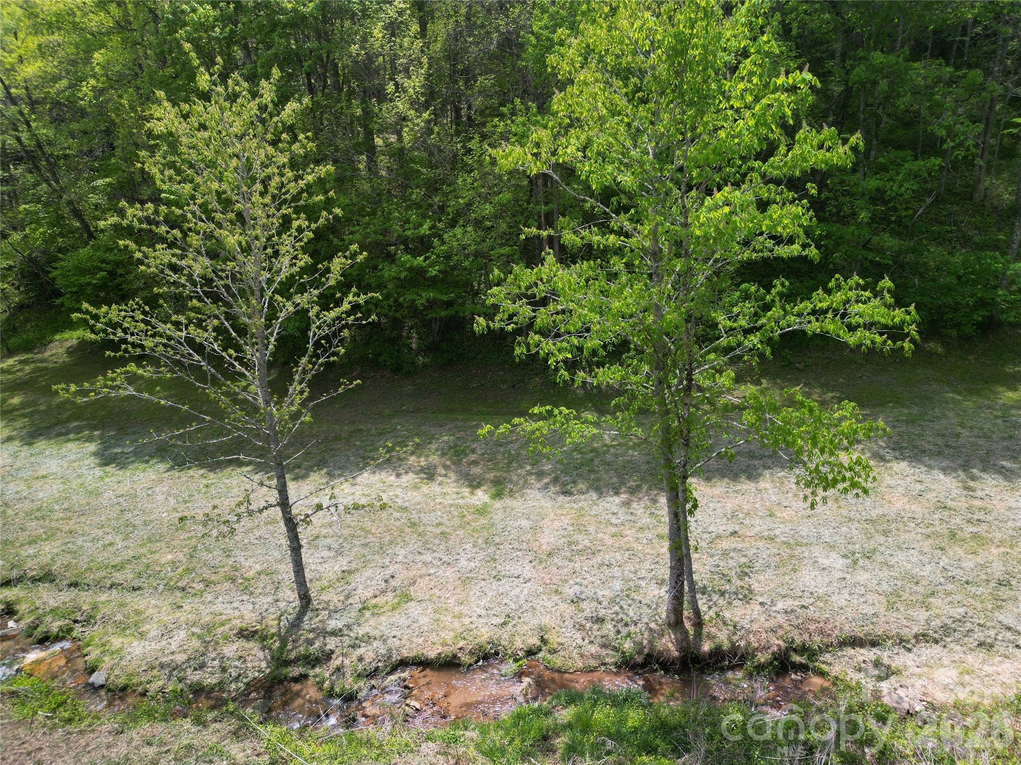 99999 Roaring Fork Road Property Photo 12