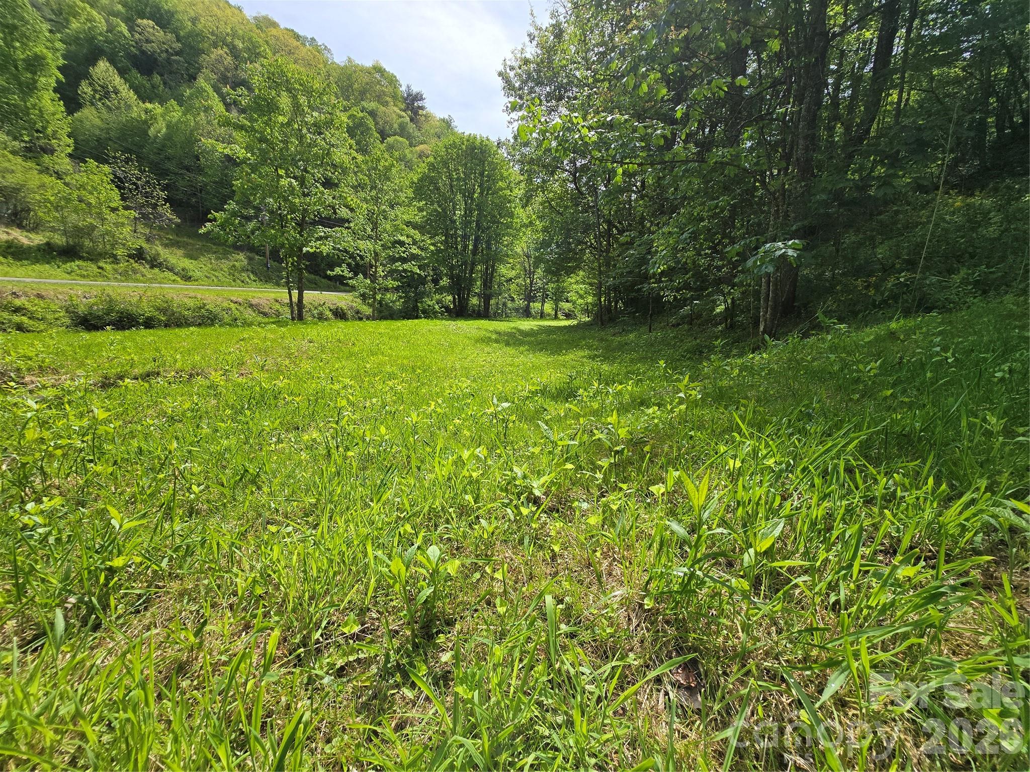 99999 Roaring Fork Road Property Photo 13