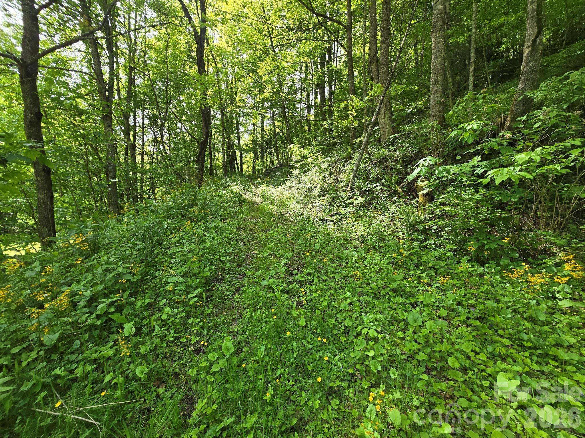 99999 Roaring Fork Road Property Photo 14