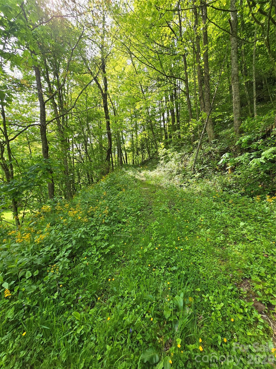 99999 Roaring Fork Road Property Photo 15