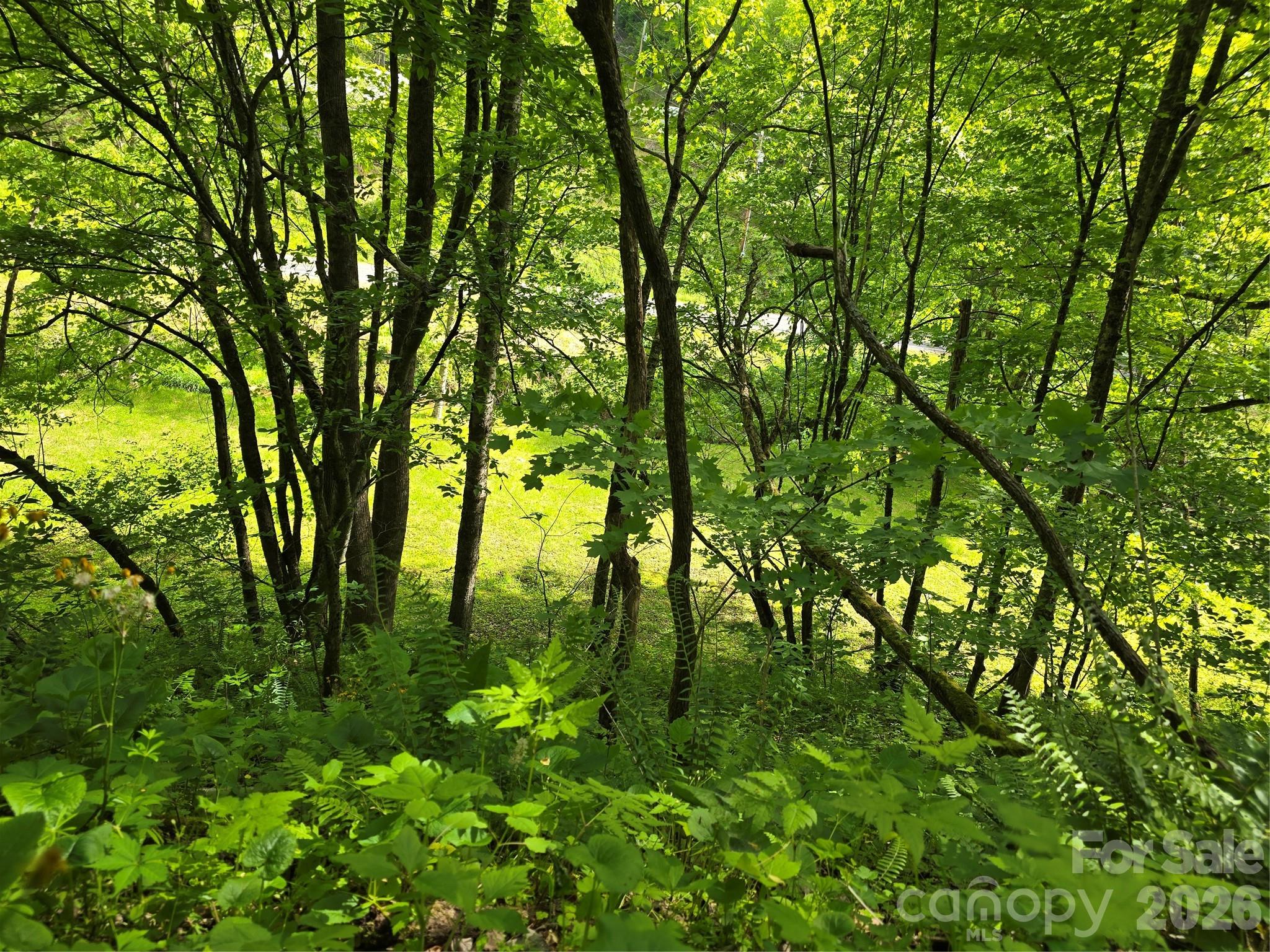 99999 Roaring Fork Road Property Photo 16