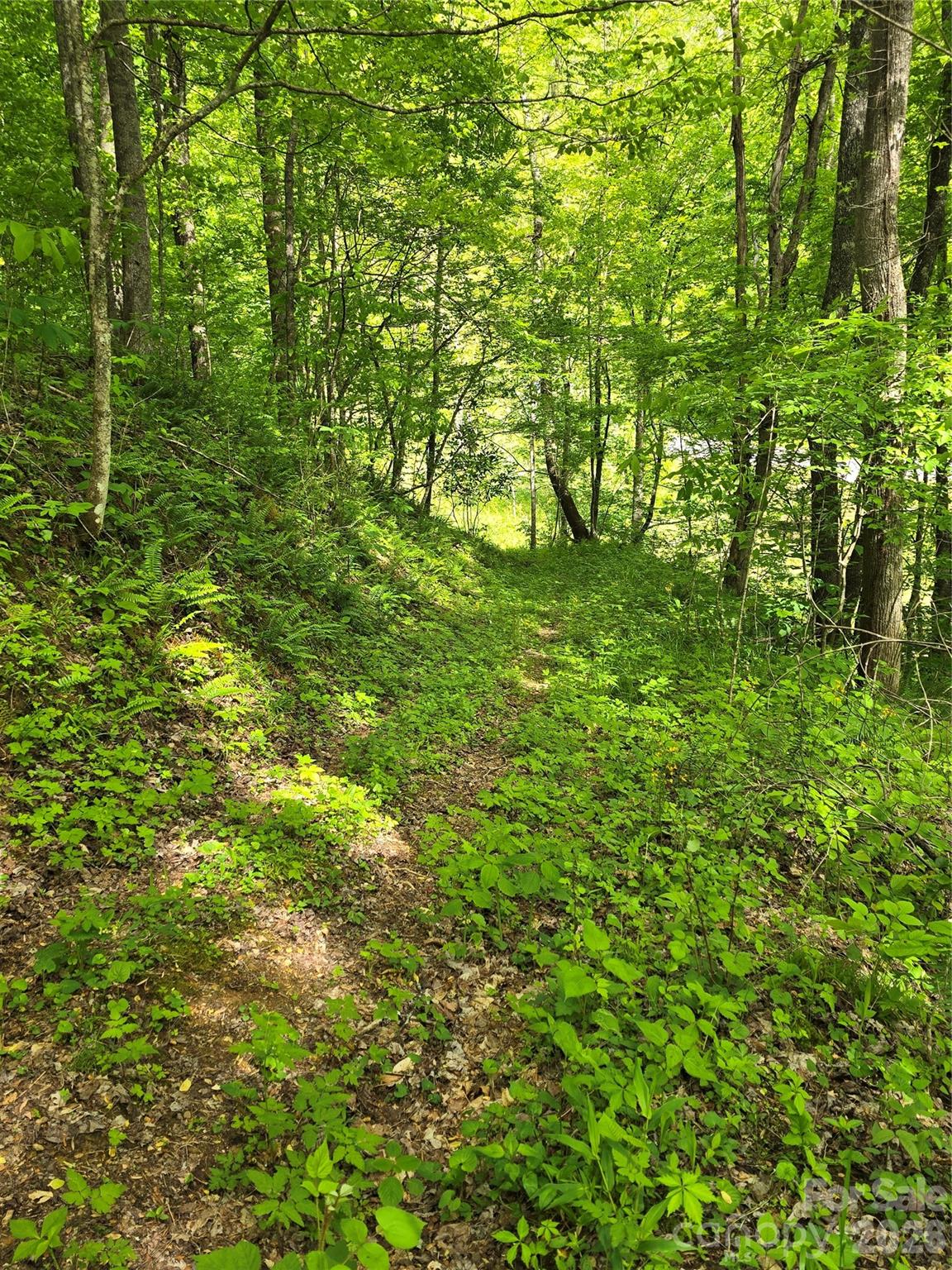 99999 Roaring Fork Road Property Photo 17
