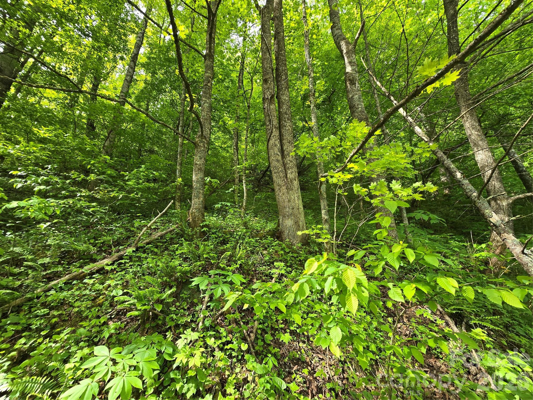 99999 Roaring Fork Road Property Photo 18