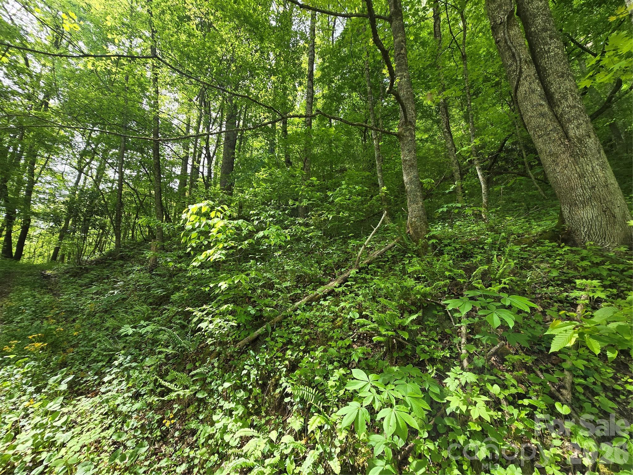 99999 Roaring Fork Road Property Photo 19