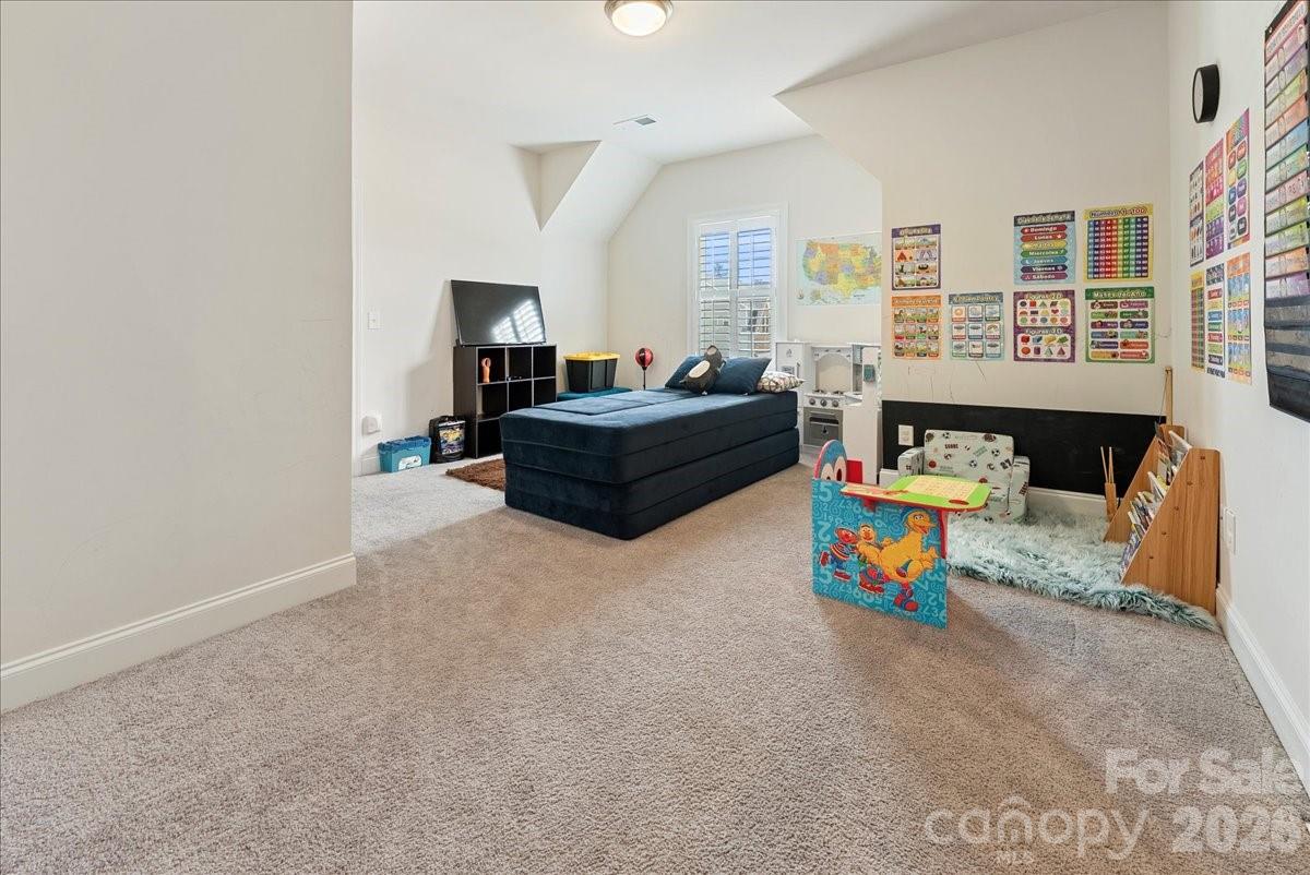 39 Hanging Leaf Court Property Photo 20