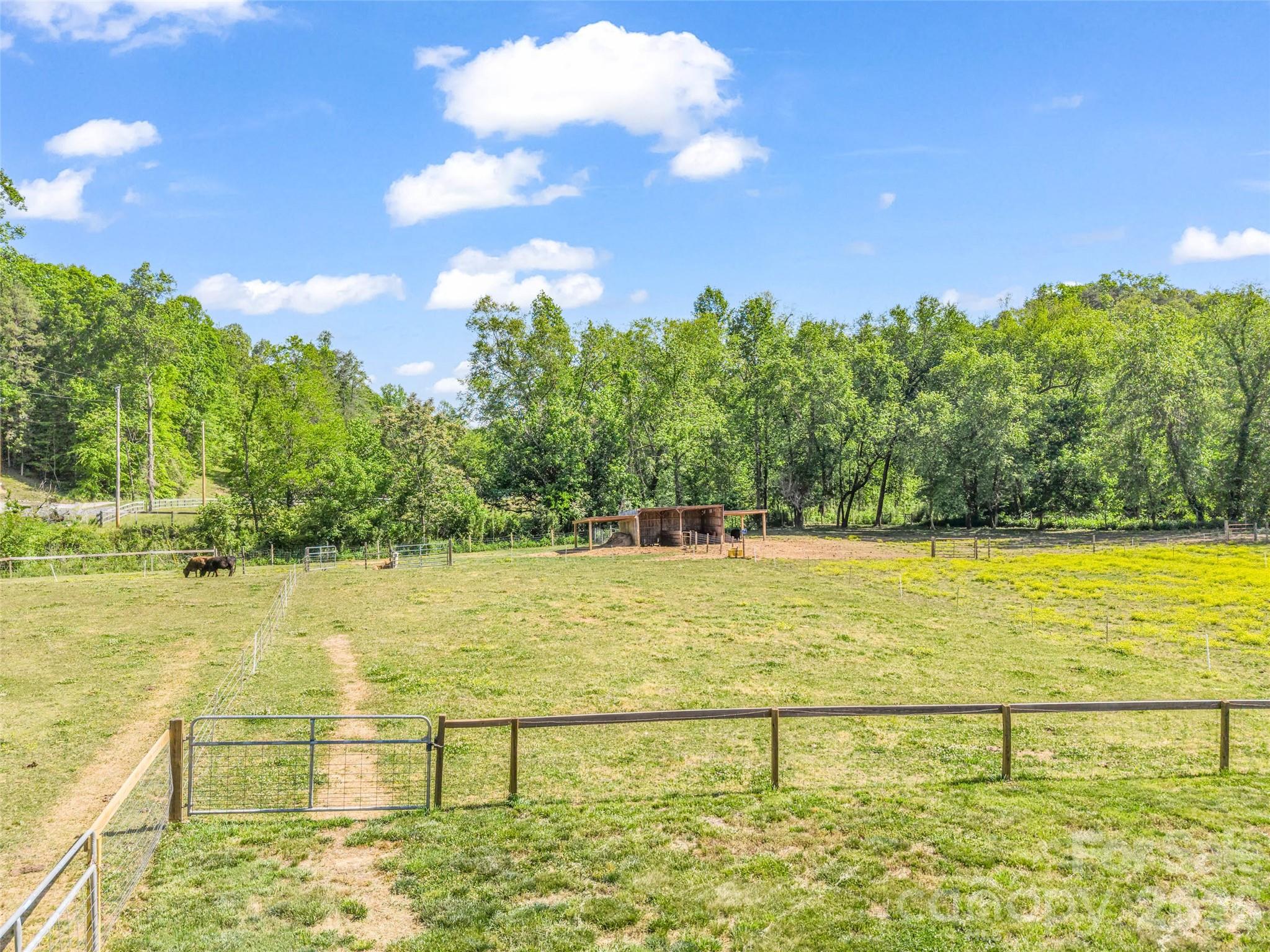 400 Calhoun Trail Property Photo 37