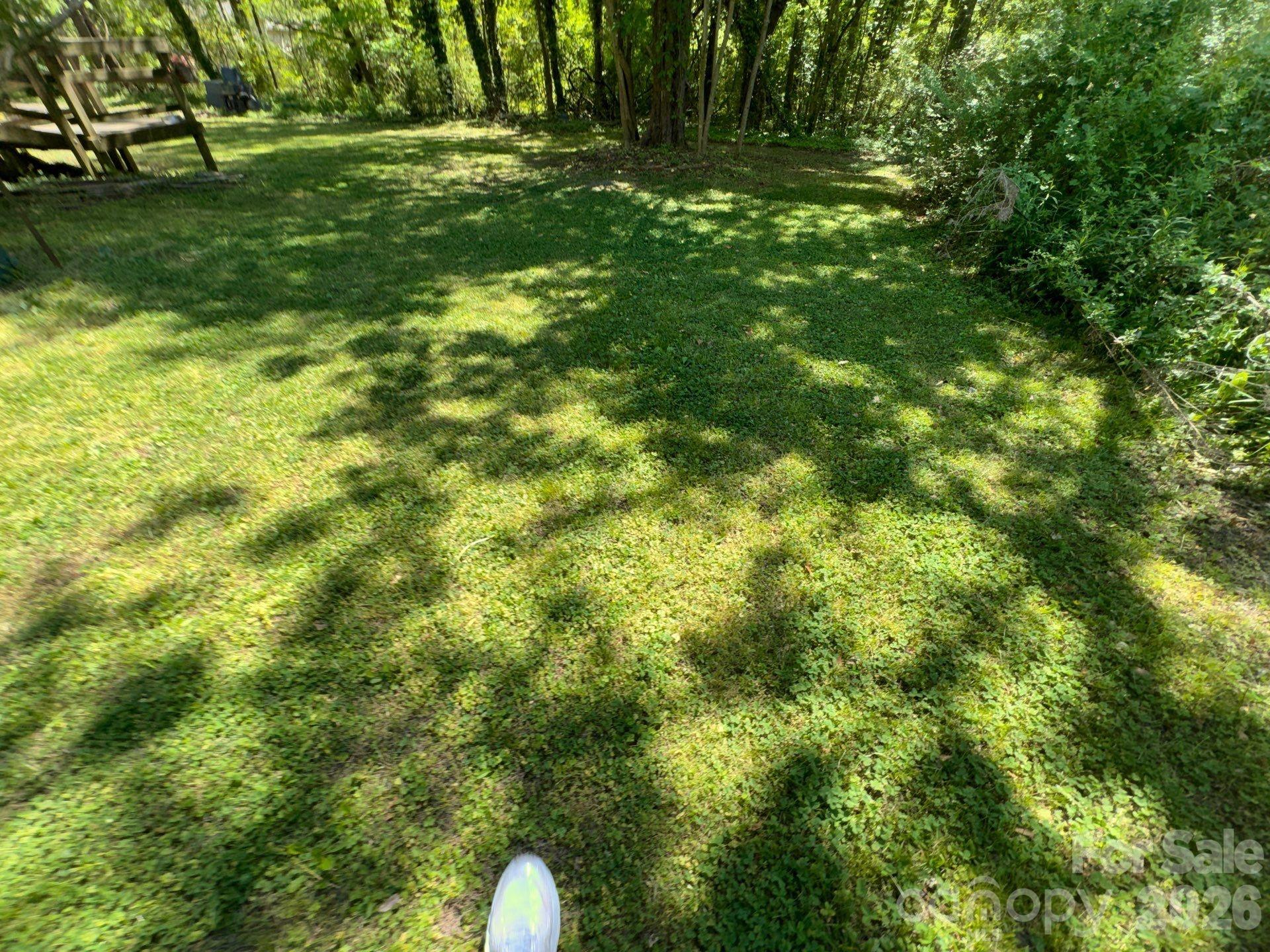 1011 Wellman Street Property Photo 4
