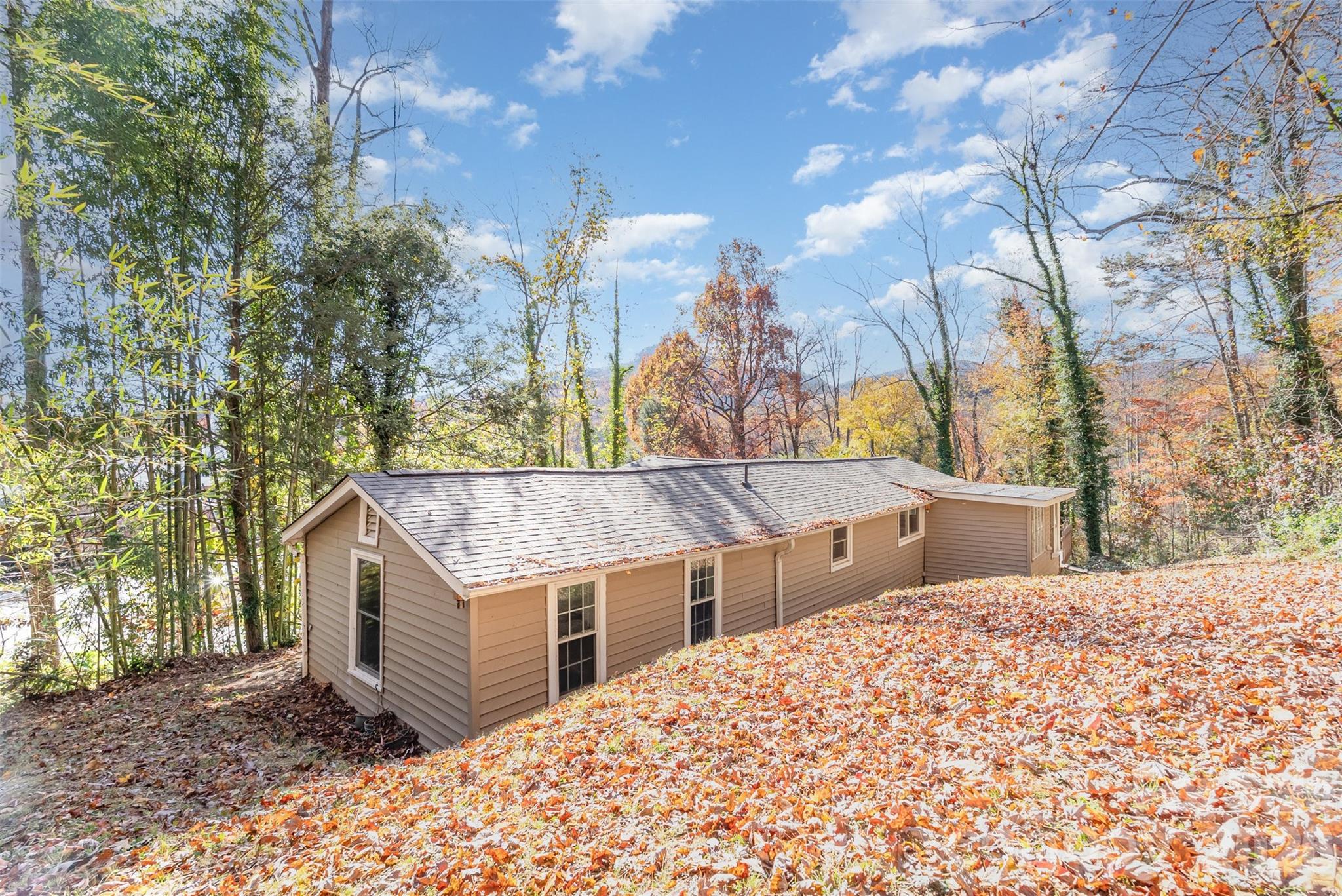 243 Boys Camp Road Property Photo 26