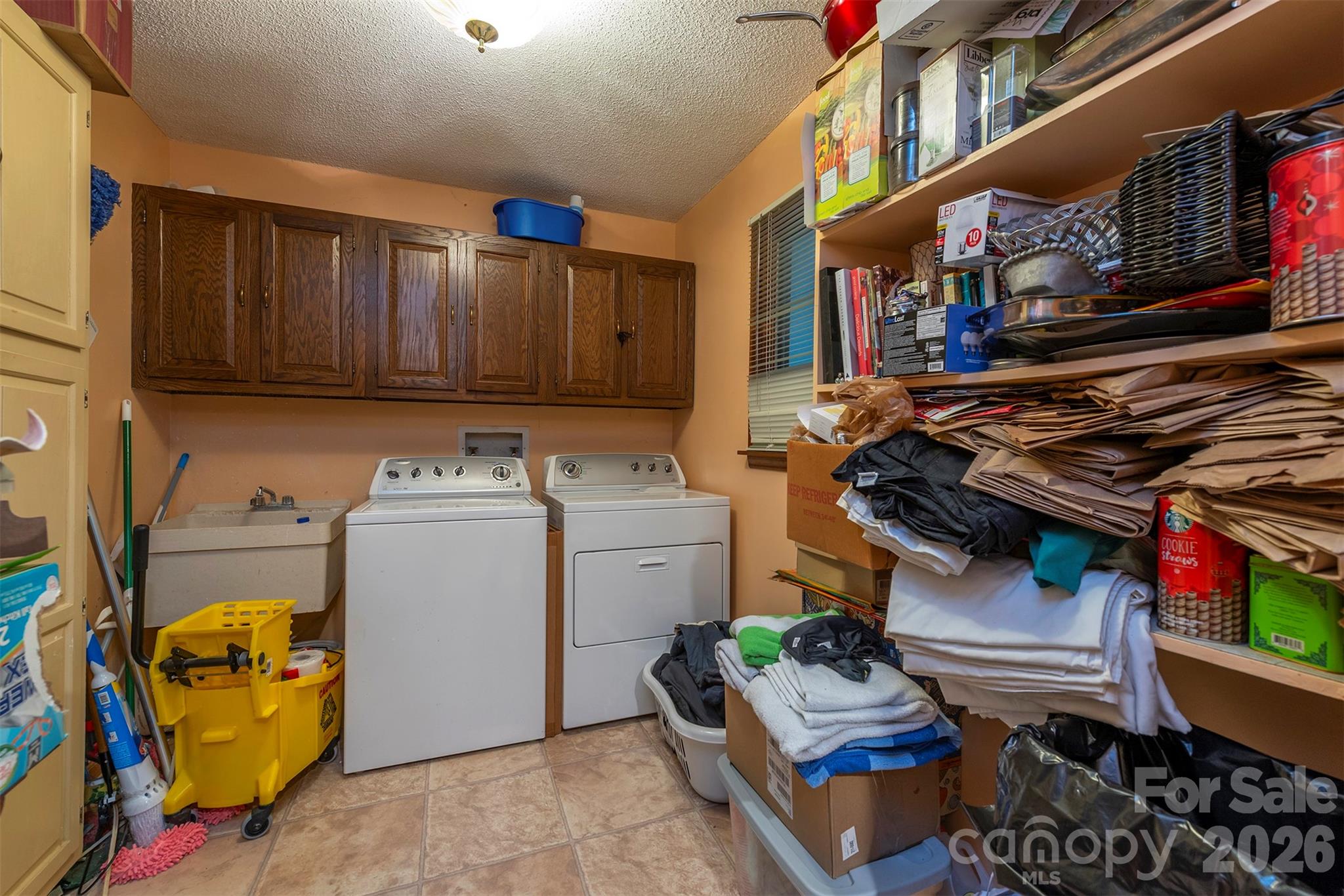 58 Ballantree Drive Property Photo 30