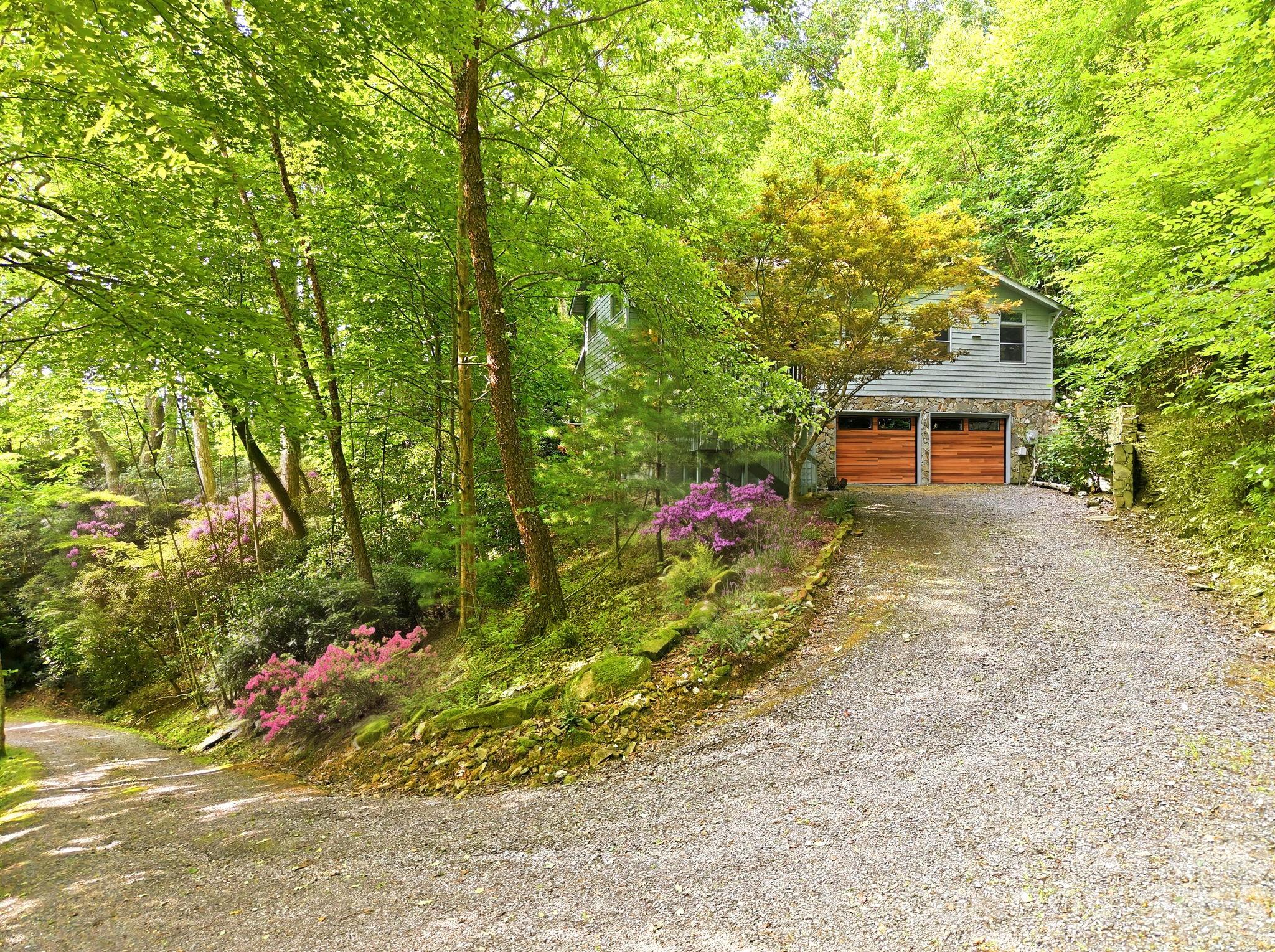 63 Chestnut Forest Road Property Photo 1