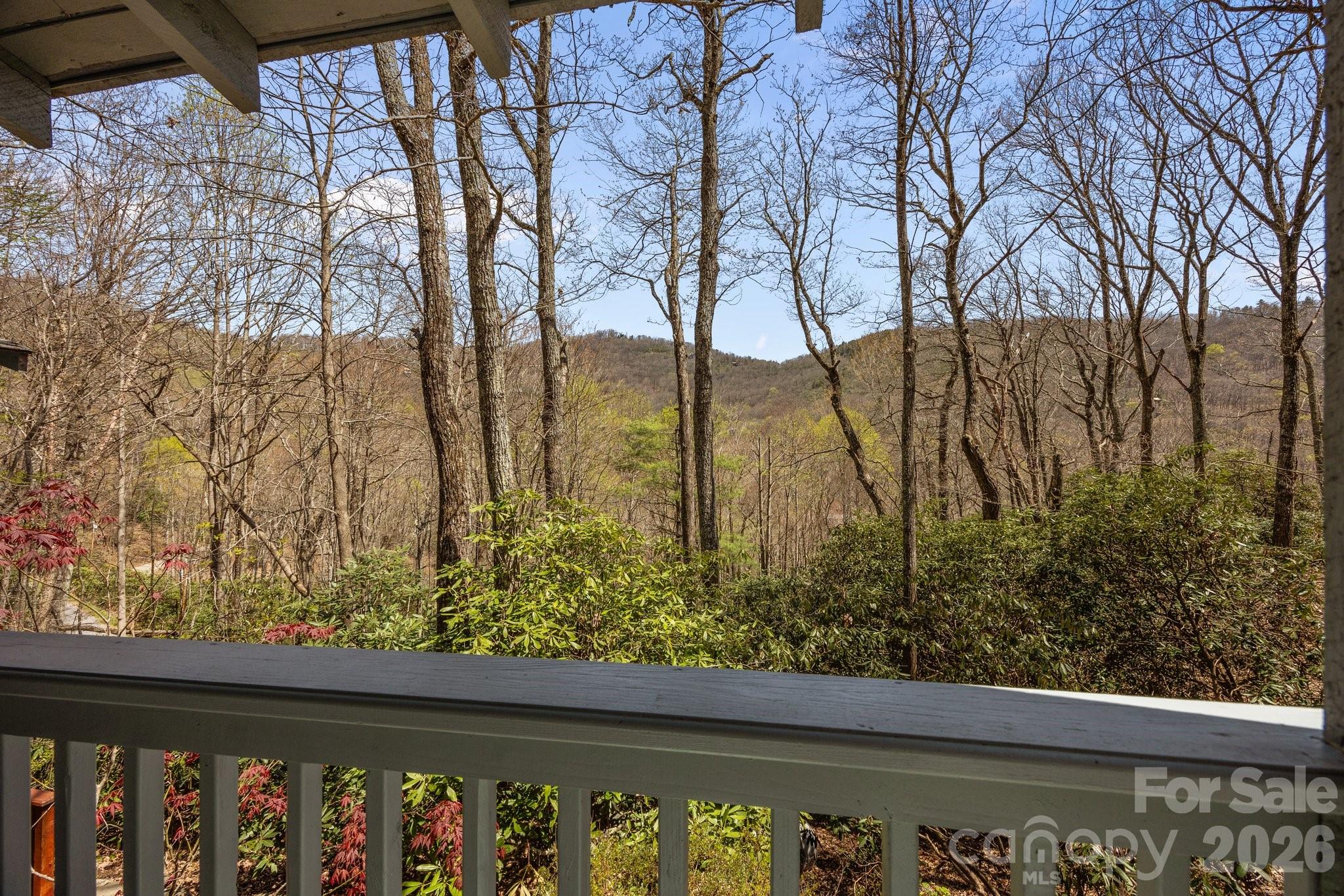 63 Chestnut Forest Road Property Photo 39