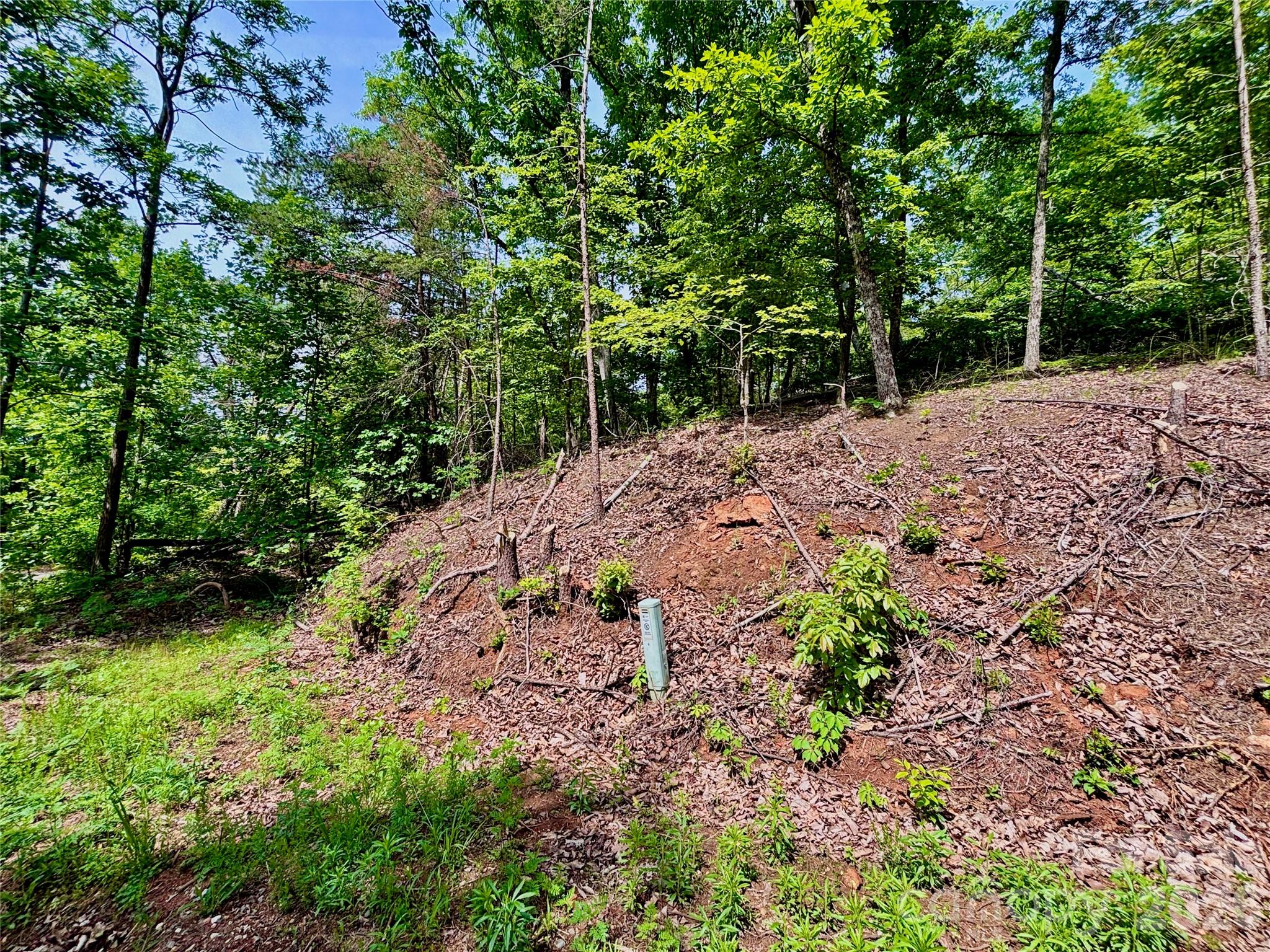 350 Springvalley Drive Property Photo 1