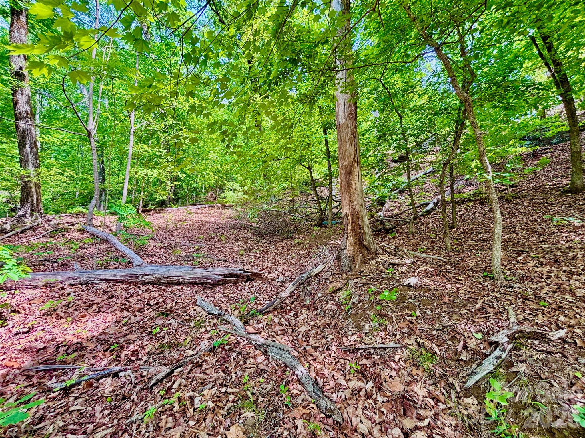 350 Springvalley Drive Property Photo 2