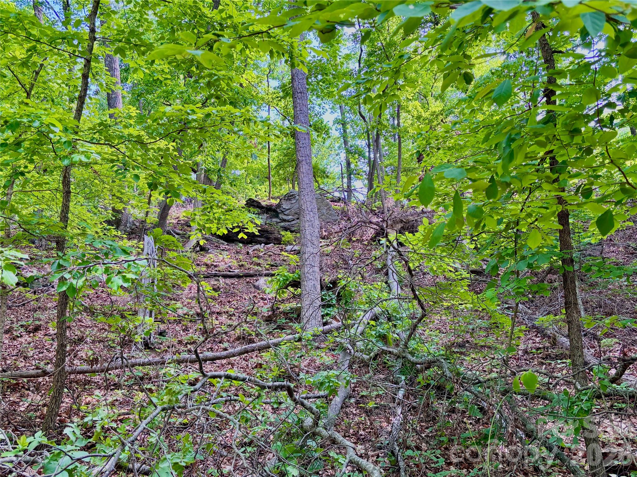 350 Springvalley Drive Property Photo 3