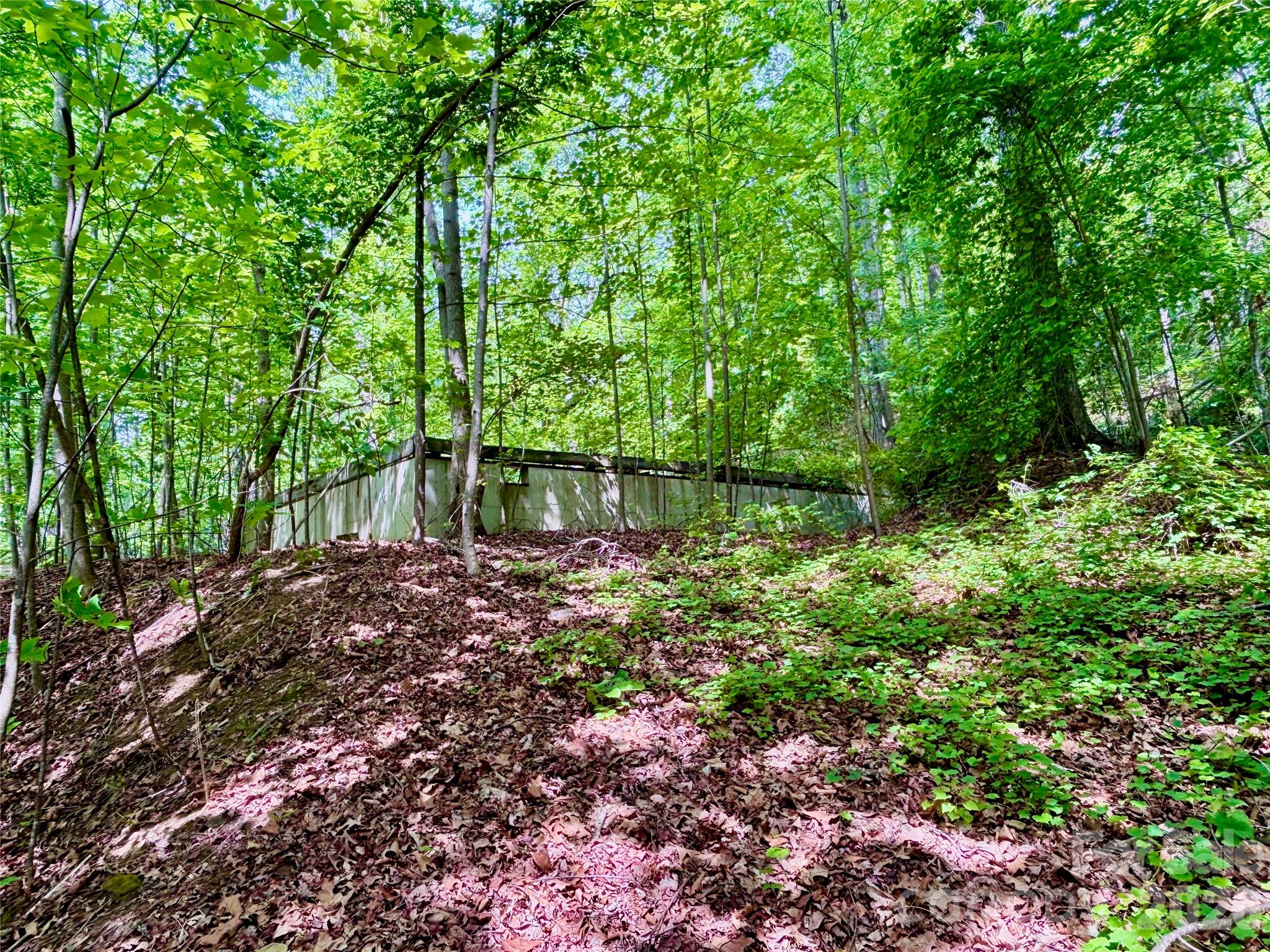 350 Springvalley Drive Property Photo 4