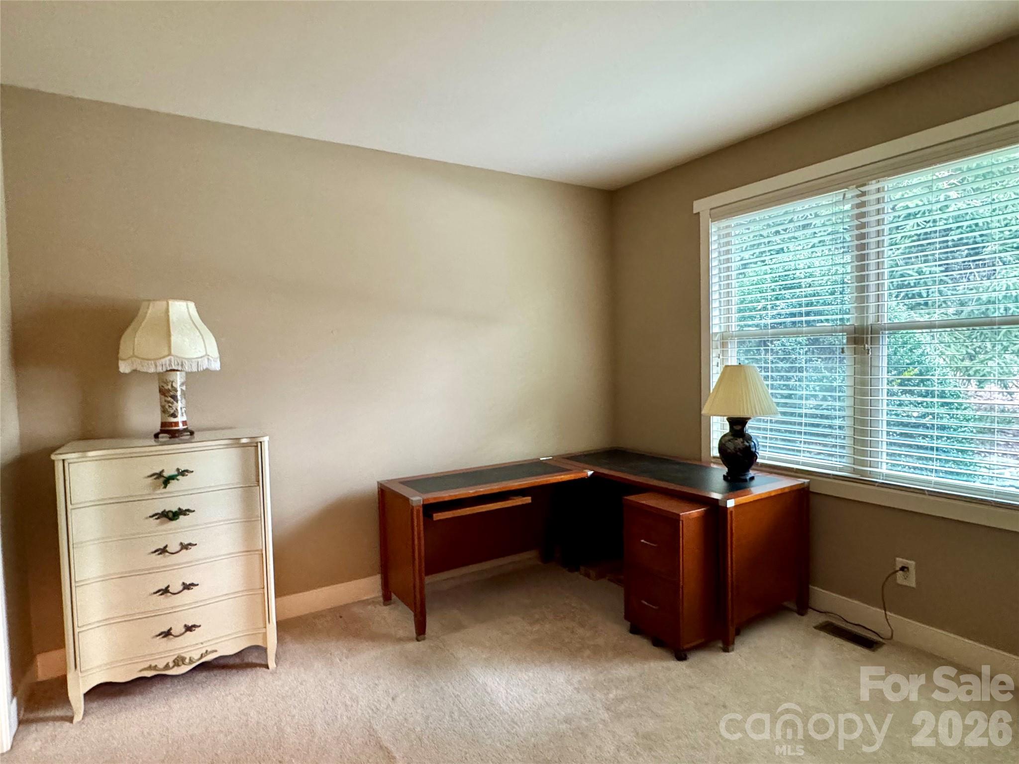 894 Dunroy Drive Property Photo 23