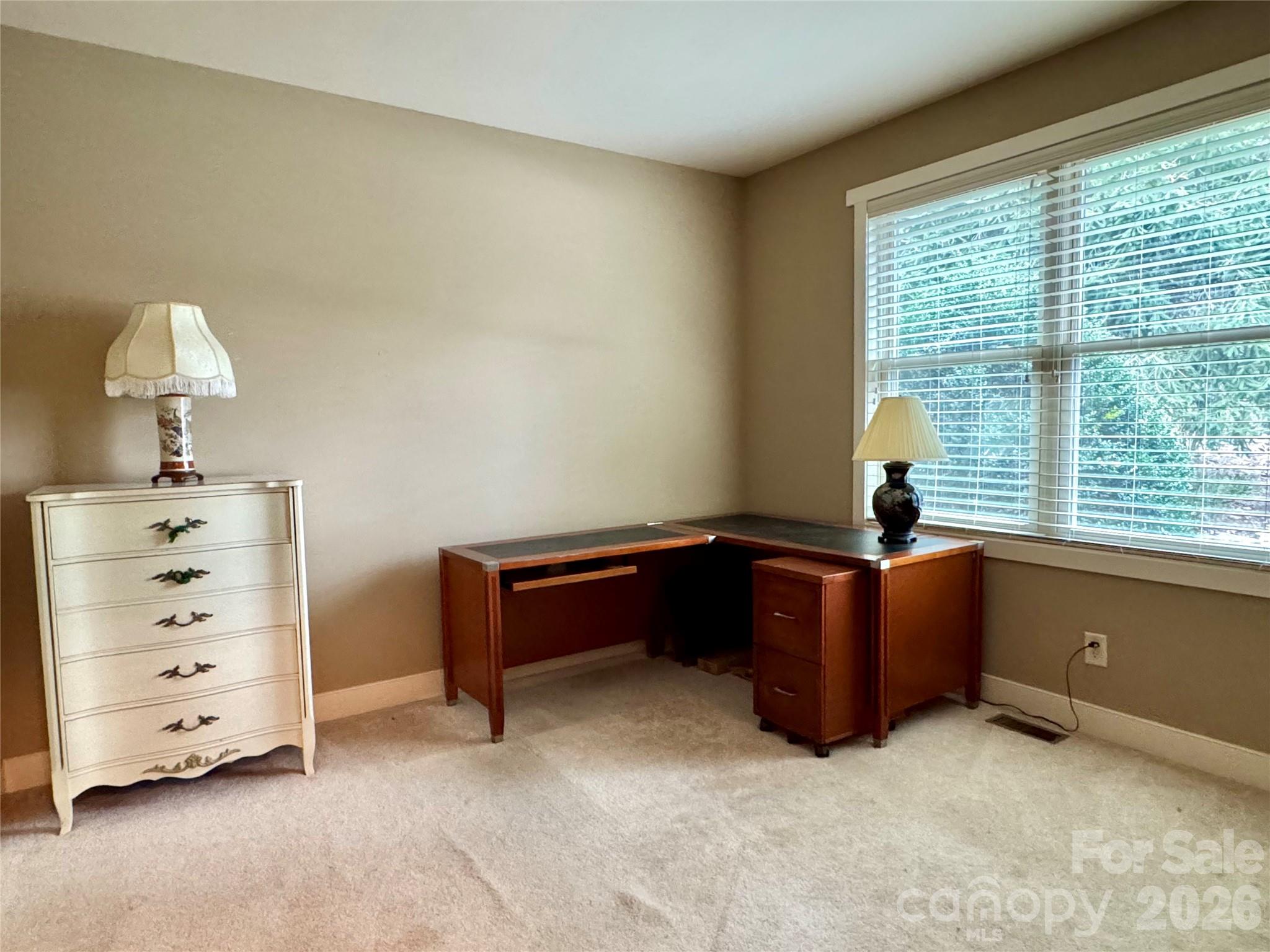 894 Dunroy Drive Property Photo 38