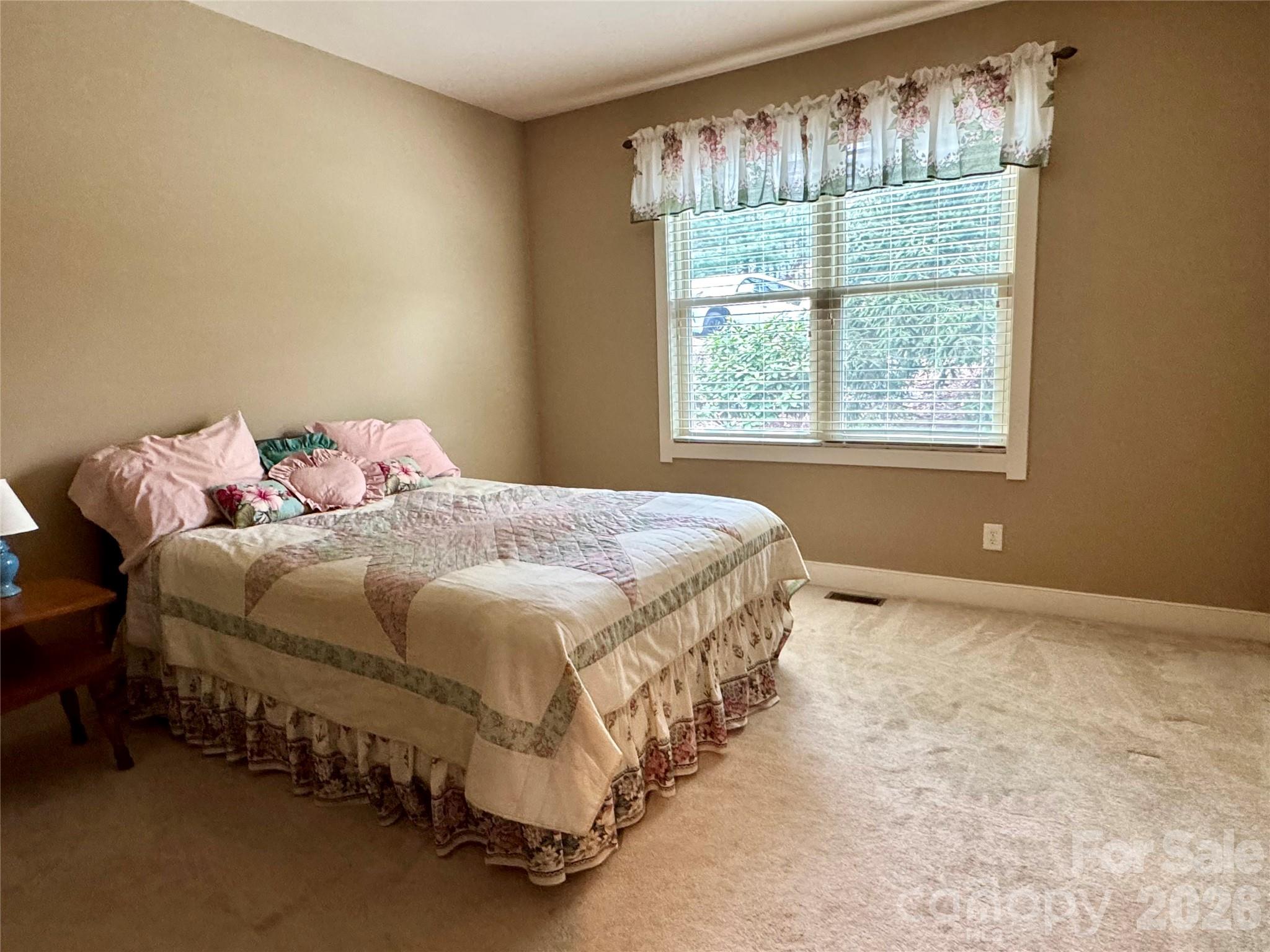 894 Dunroy Drive Property Photo 39