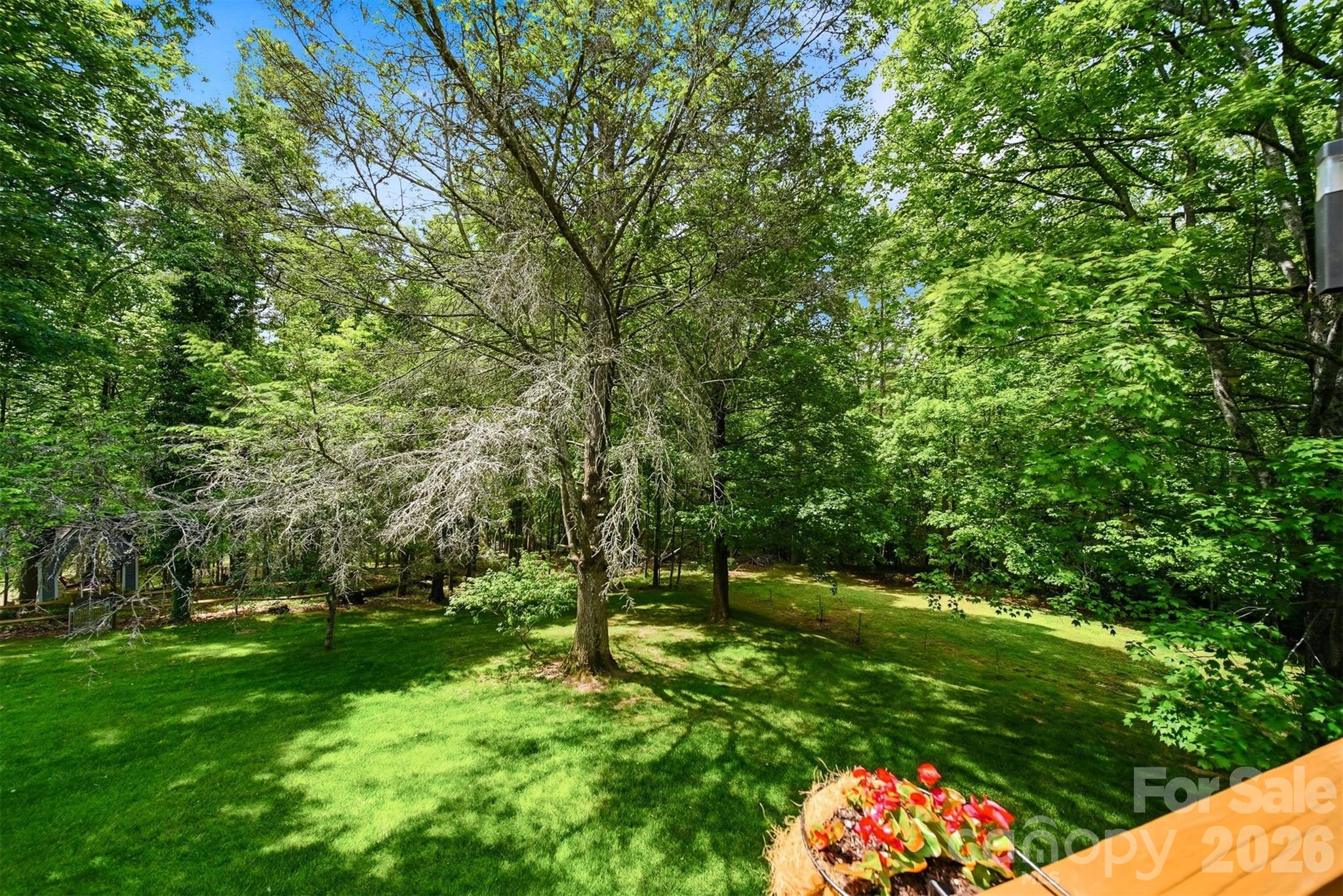 3497 Blue Creek Road Property Photo 33
