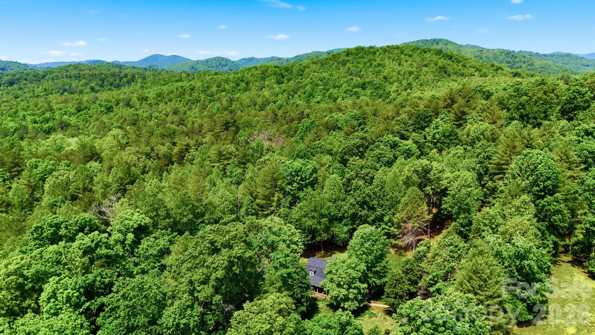 3497 Blue Creek Road Property Photo 43