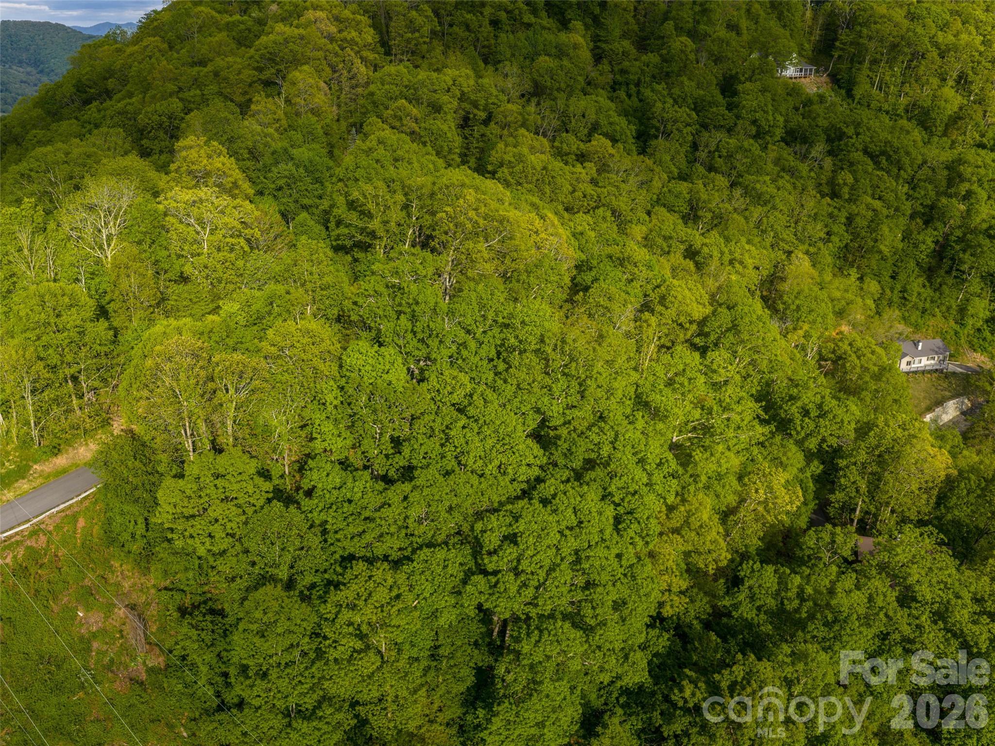 Lot 26 Fincher Mountain Road Property Photo 14