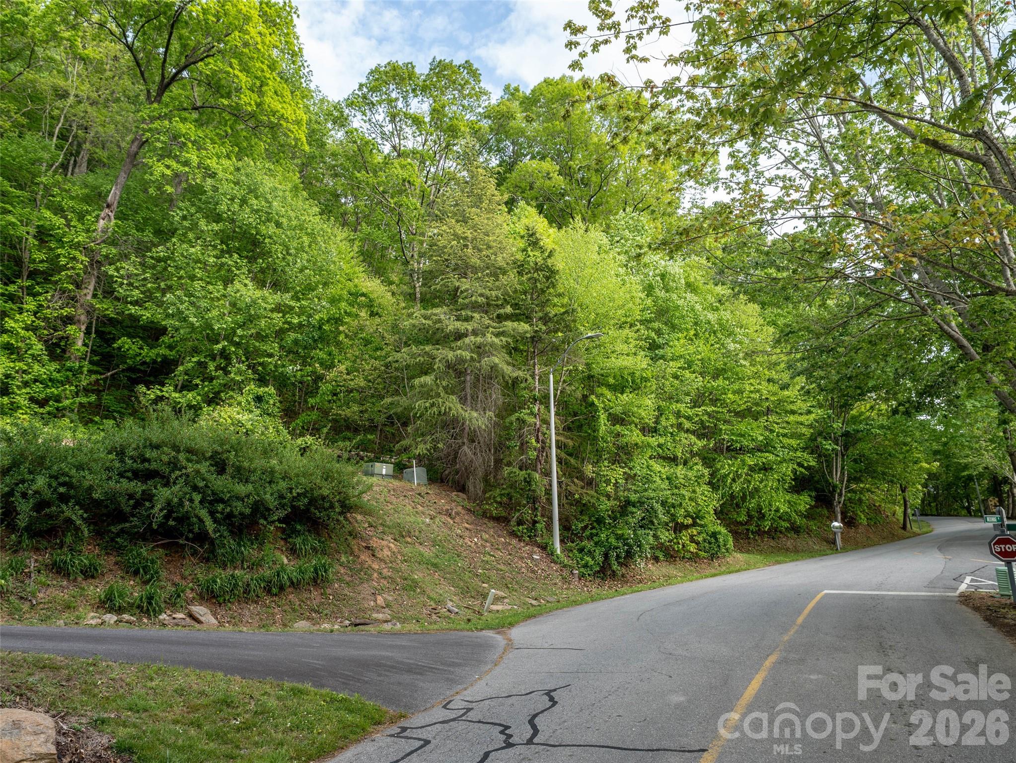 Lot 13 Breckenridge Road Property Photo 4