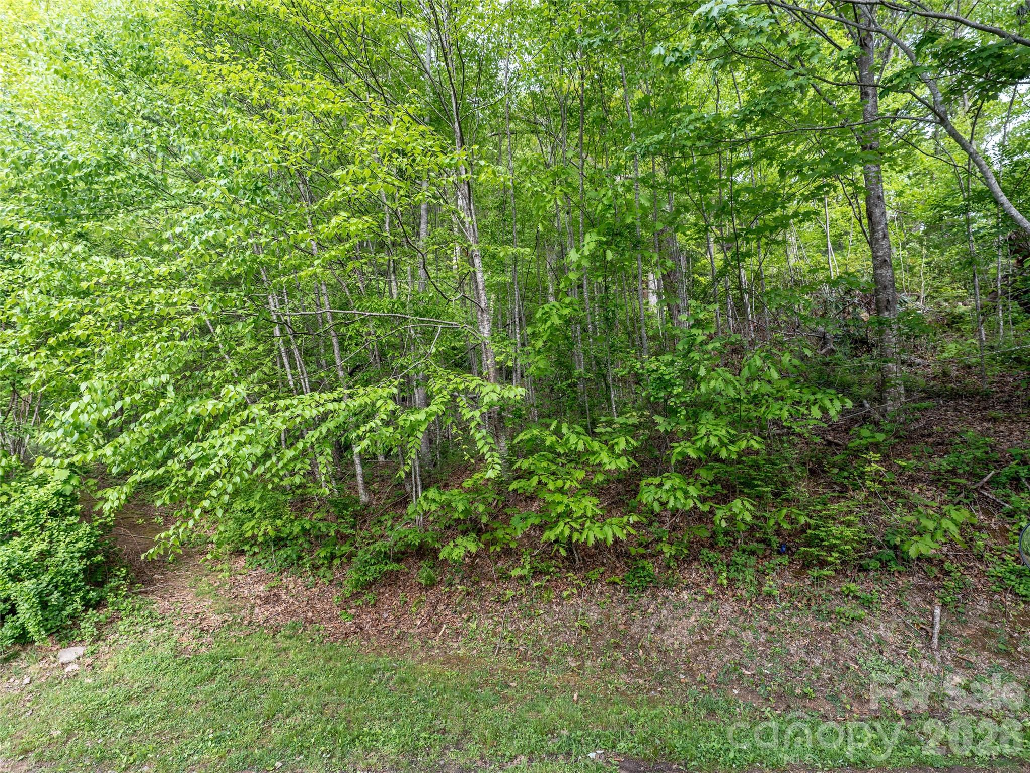 Lot 13 Breckenridge Road Property Photo 5