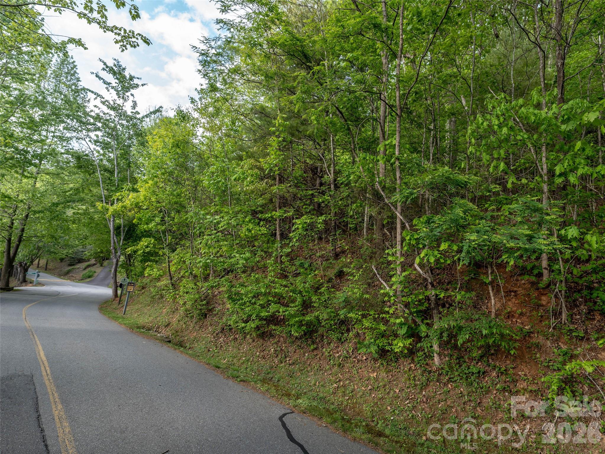Lot 13 Breckenridge Road Property Photo 8