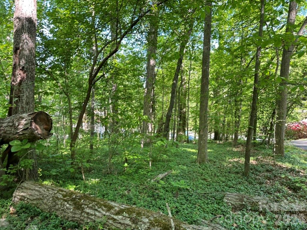 0 Lawton Lane Property Photo 6