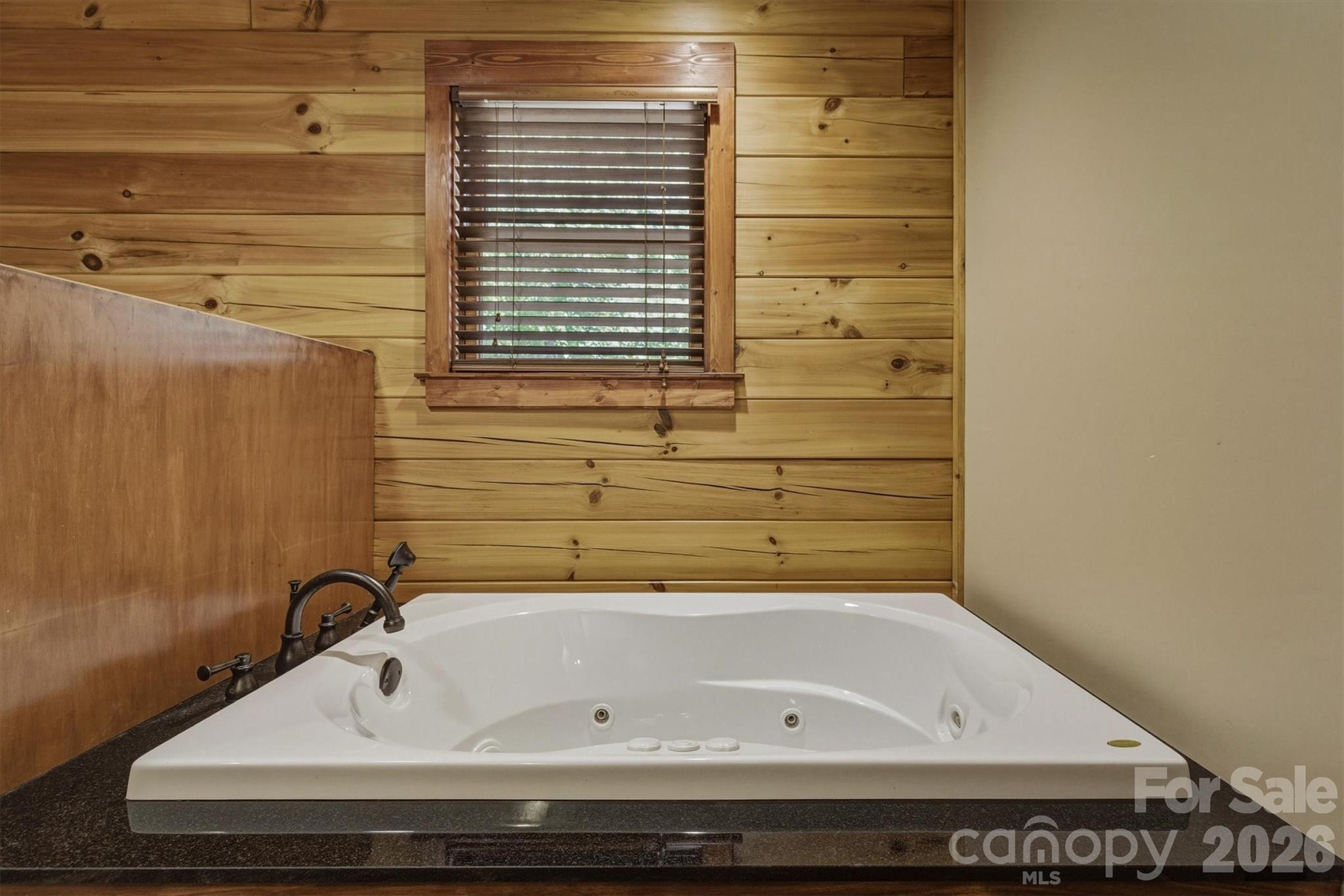 732 Grandview Peaks Drive Property Photo 19