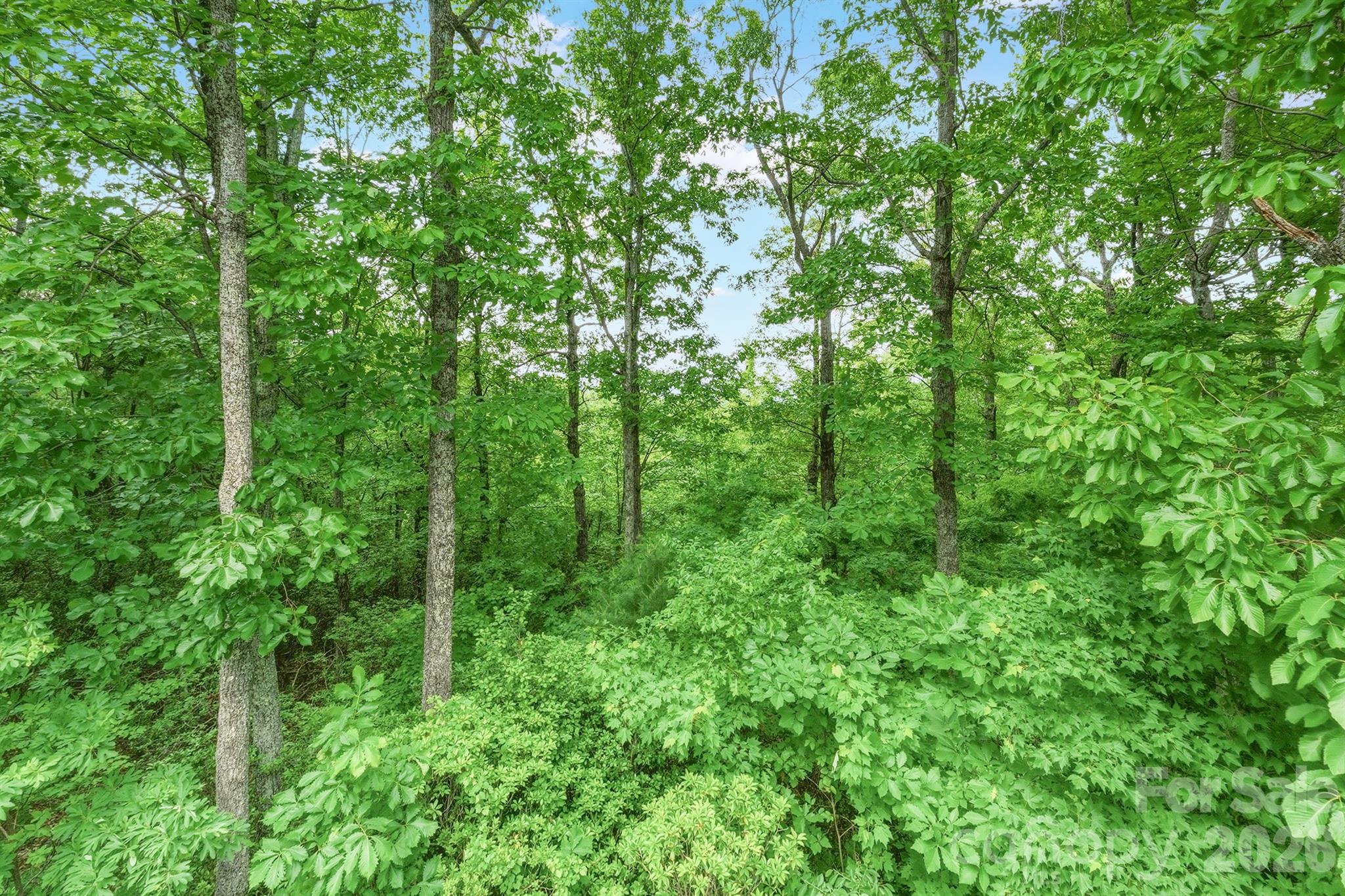 3190 Holly Road Property Photo 8