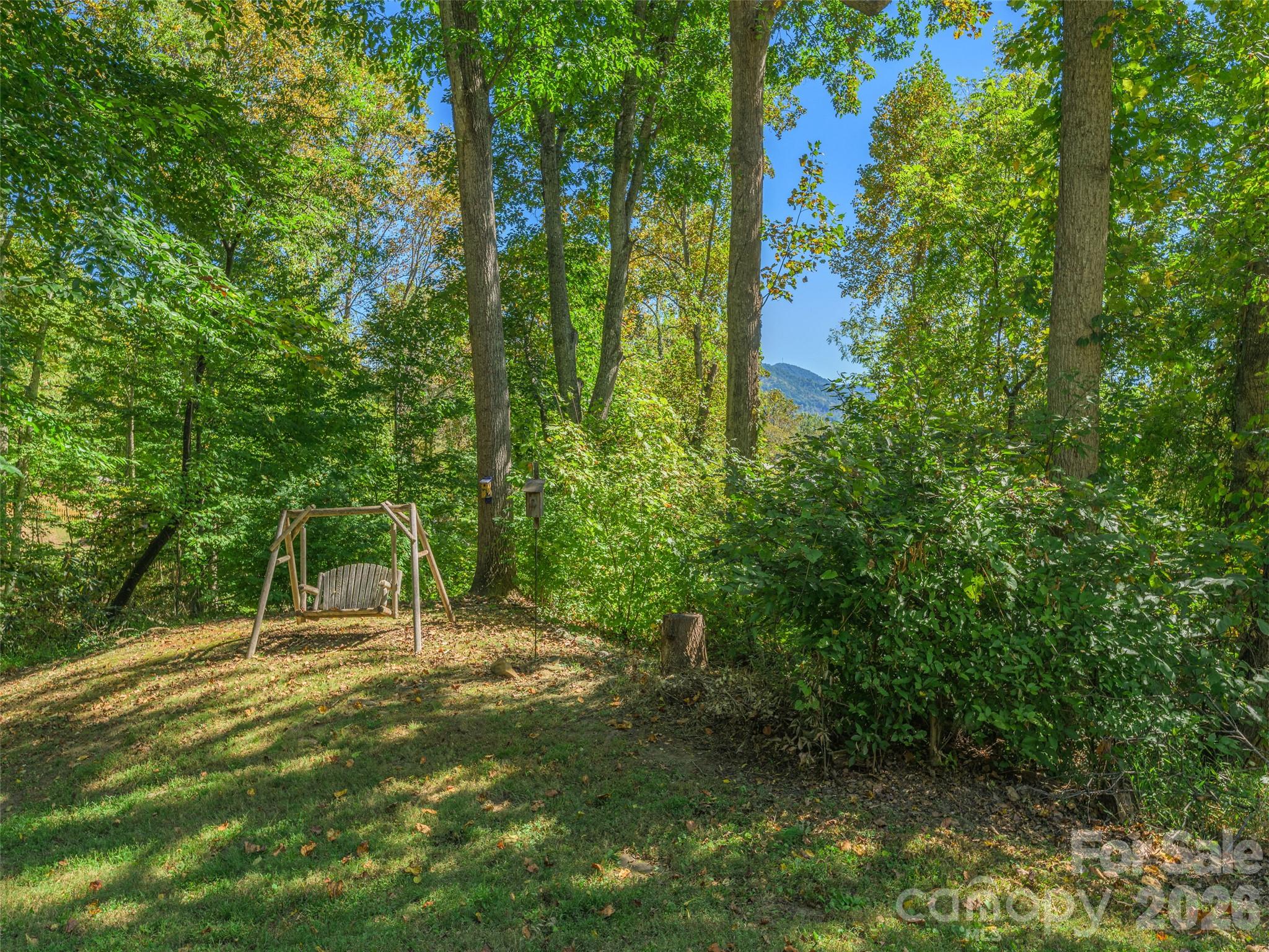 300 Kelly Springs Road Property Photo 31