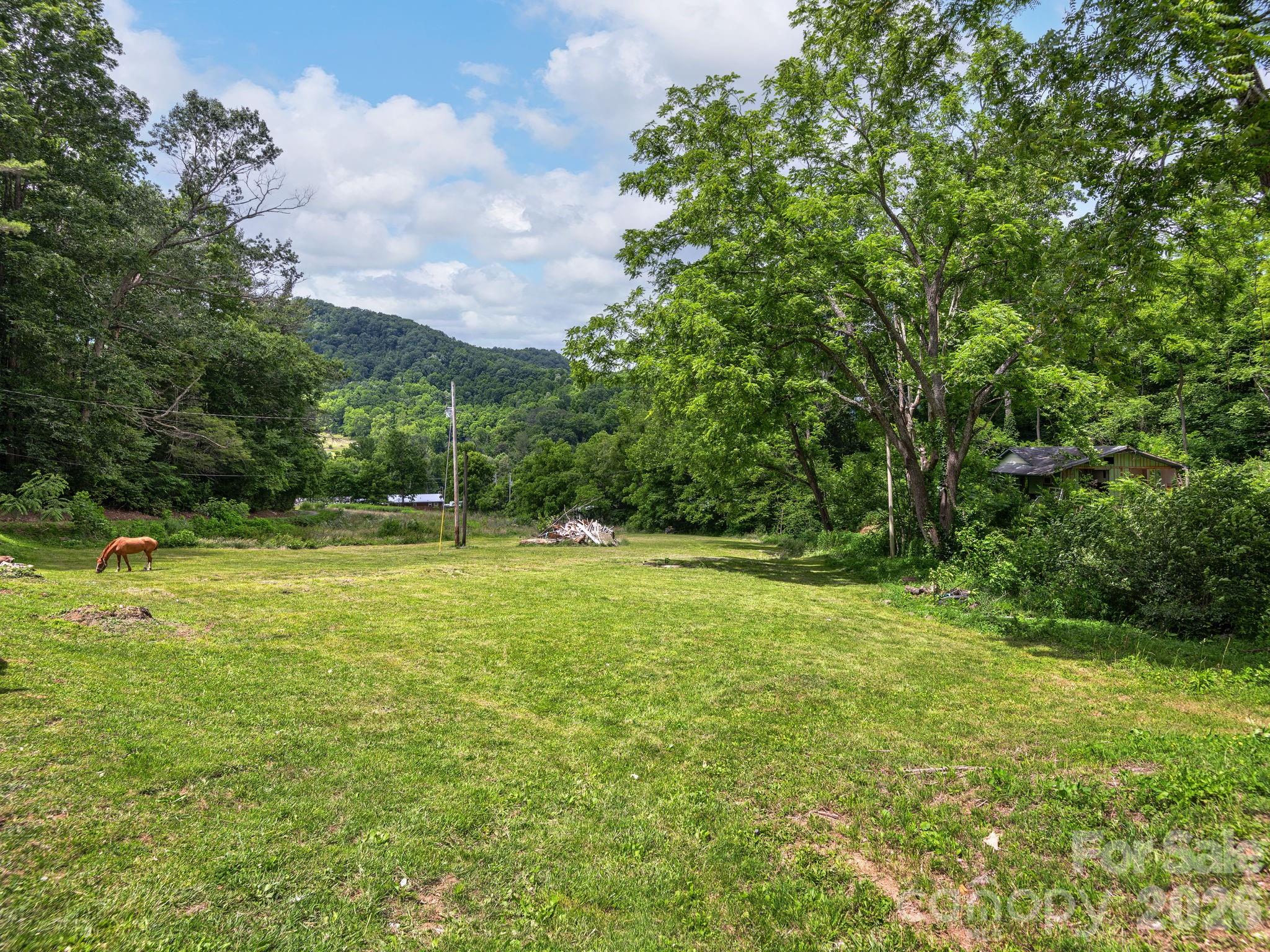 181 Harley Davidson Drive Property Photo 3