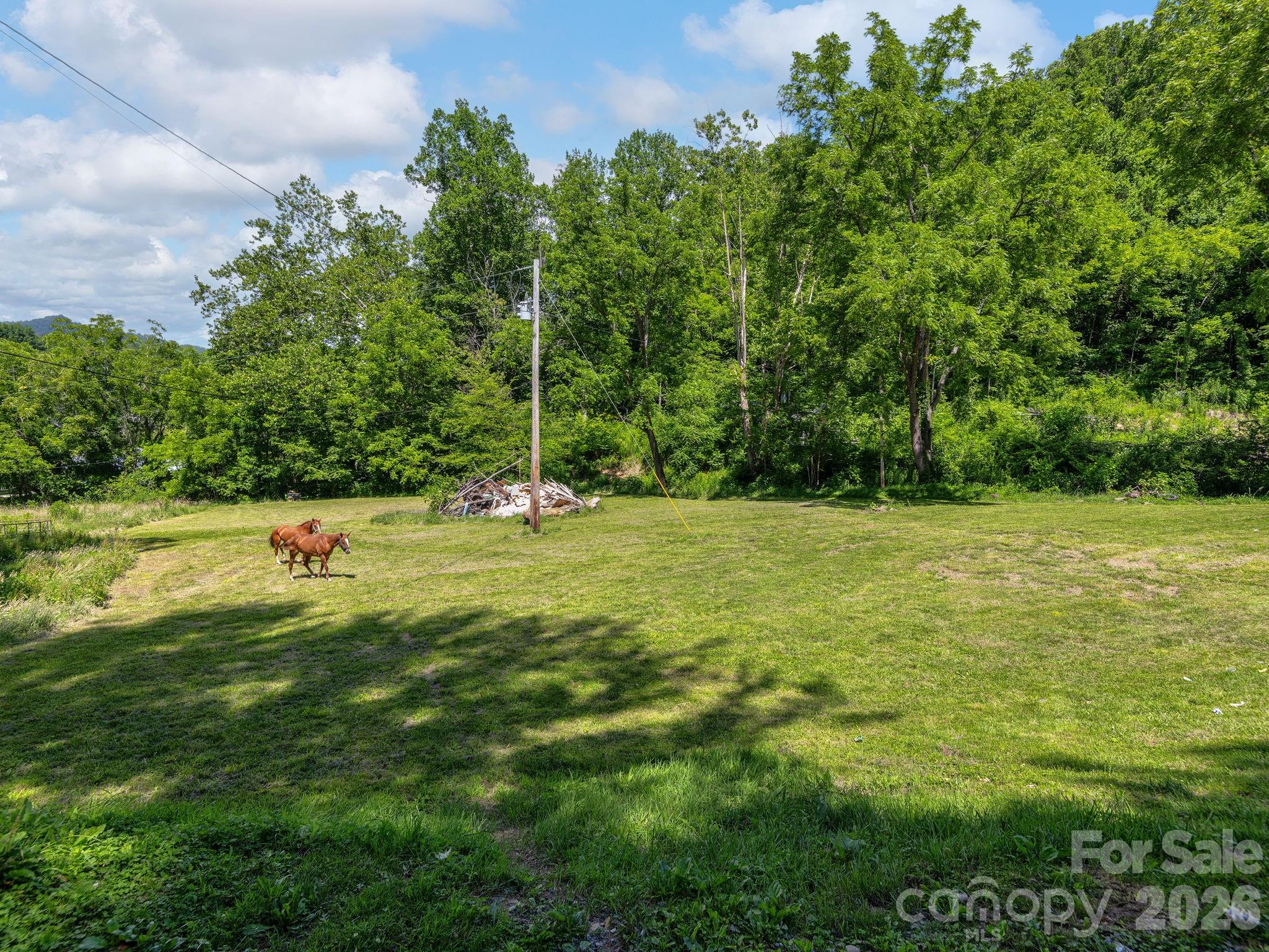 181 Harley Davidson Drive Property Photo 4