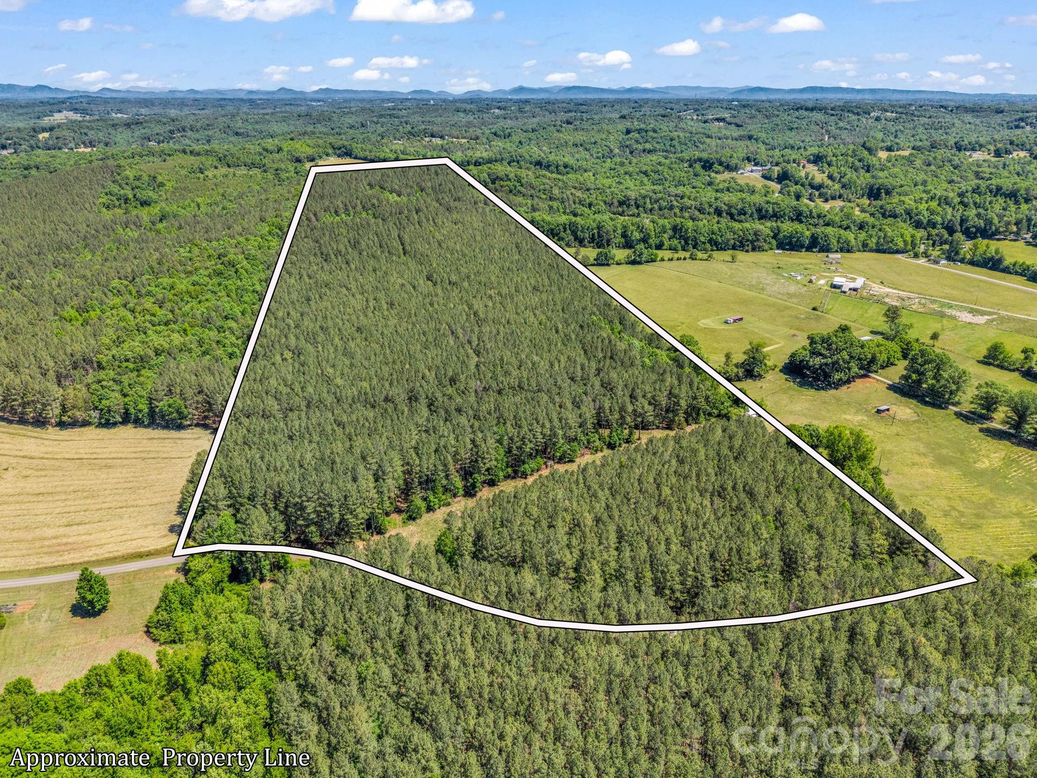 0 Jim Dobbins Road Property Photo 1
