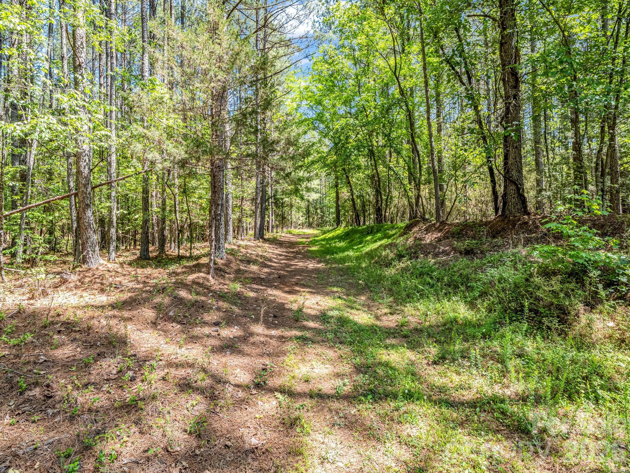 0 Jim Dobbins Road Property Photo 2