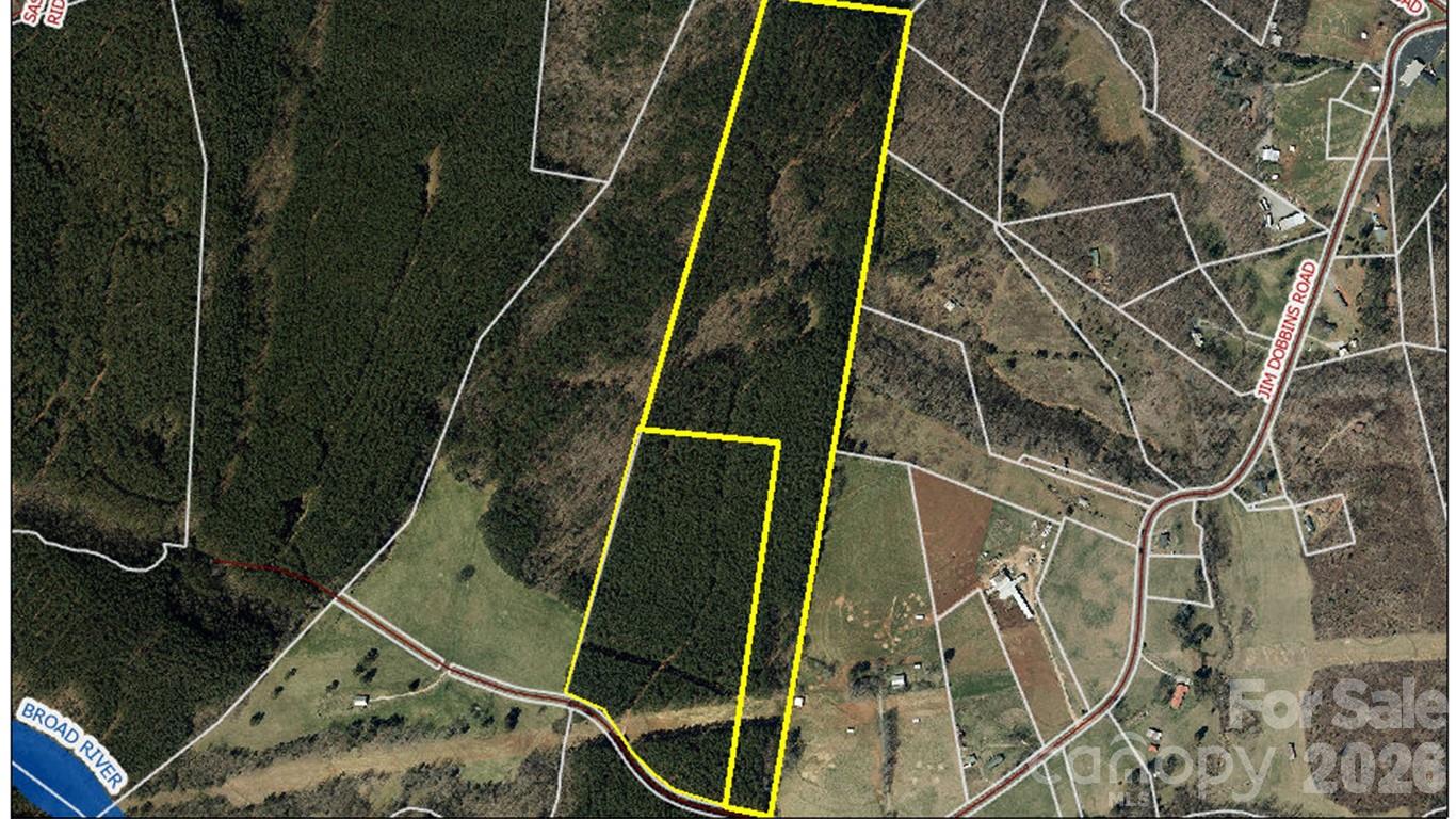 0 Jim Dobbins Road Property Photo 3