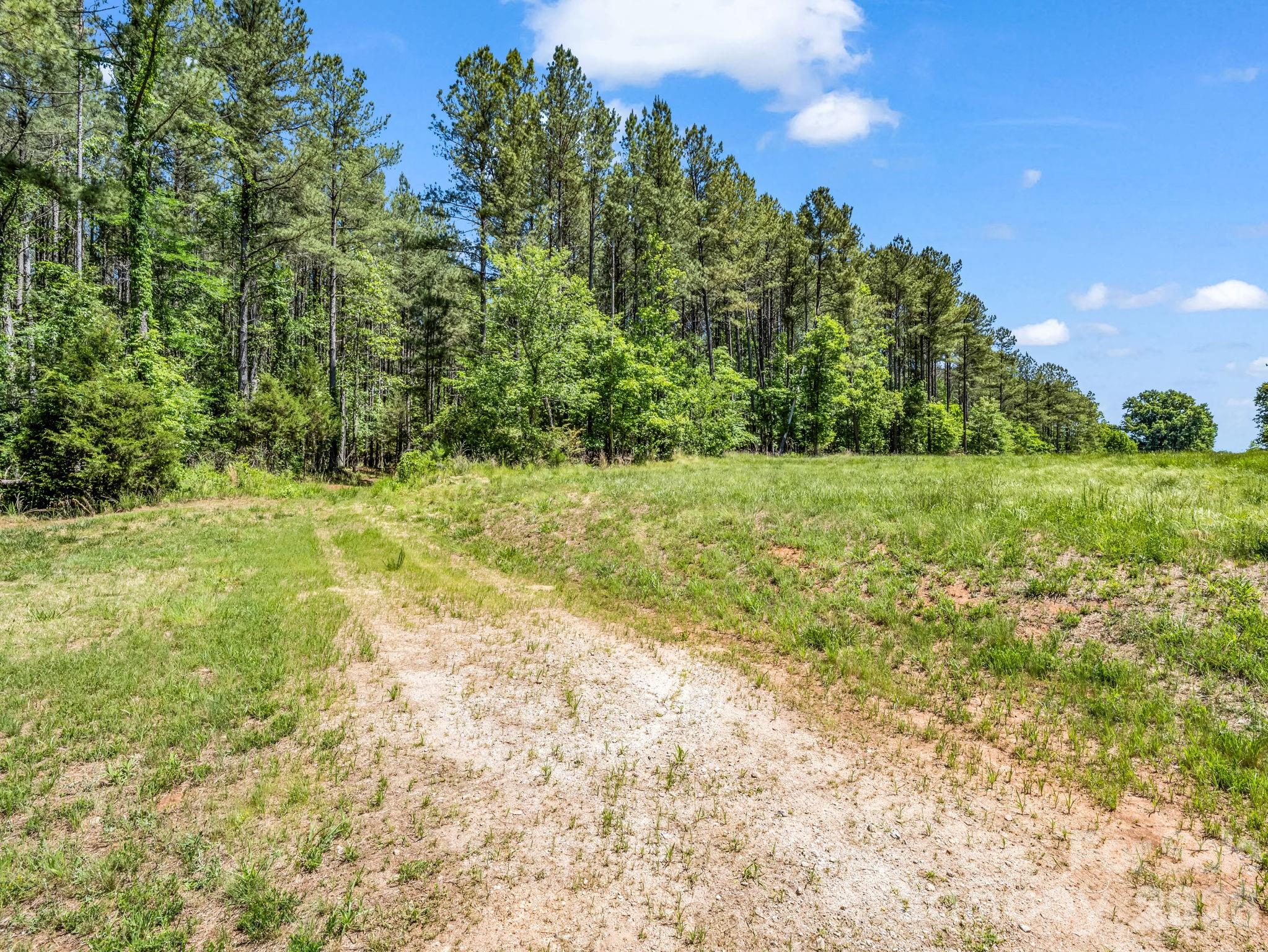 0 Jim Dobbins Road Property Photo 17