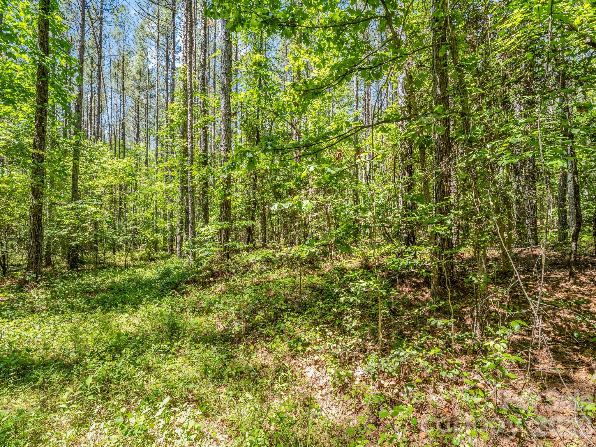 0 Jim Dobbins Road Property Photo 28