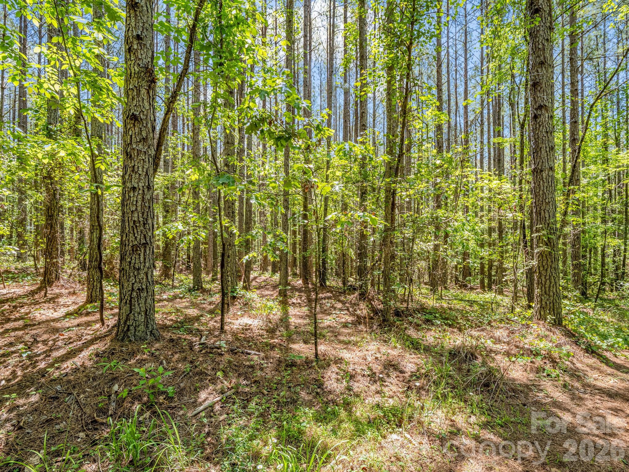 0 Jim Dobbins Road Property Photo 29