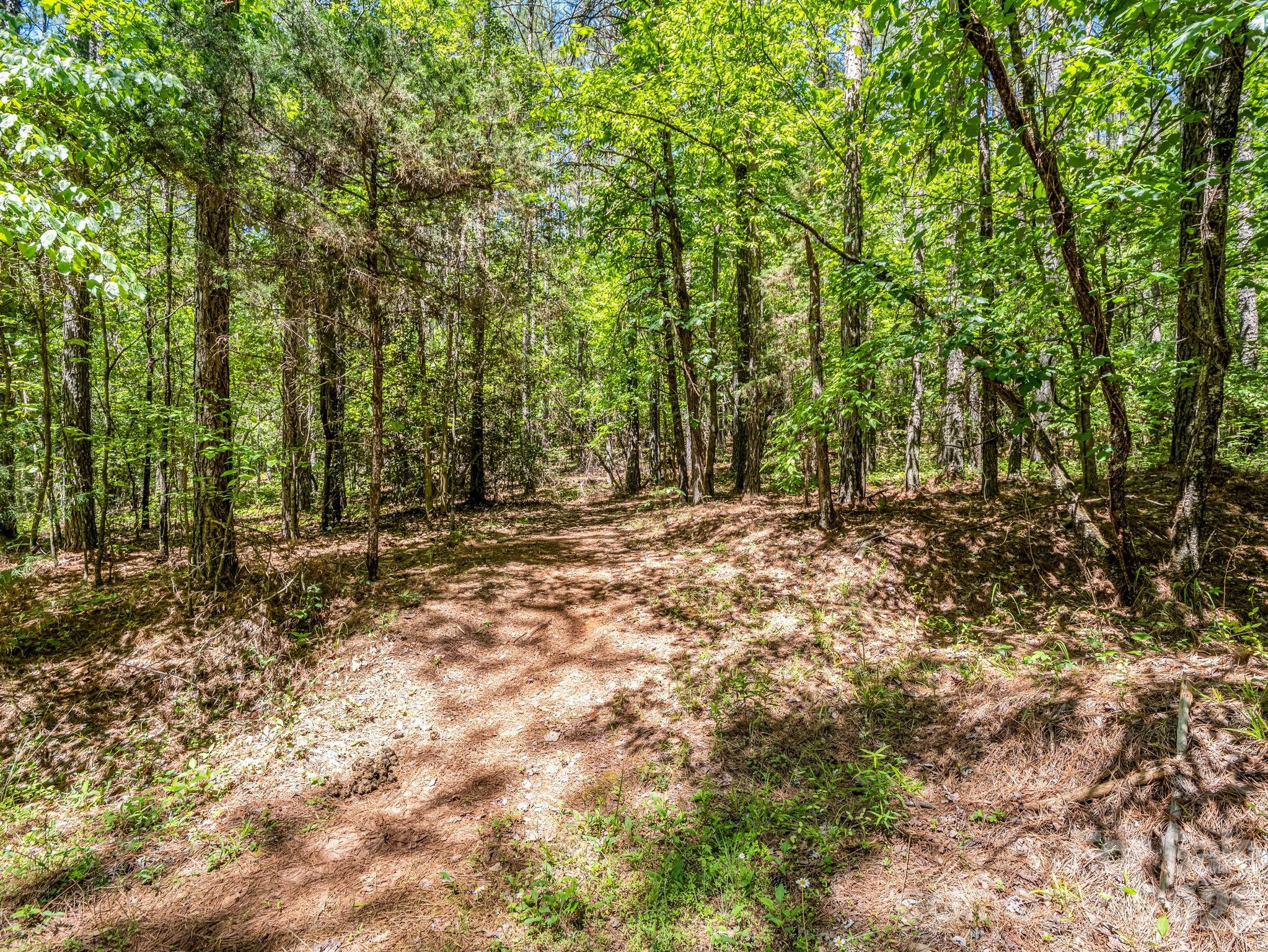 0 Jim Dobbins Road Property Photo 30