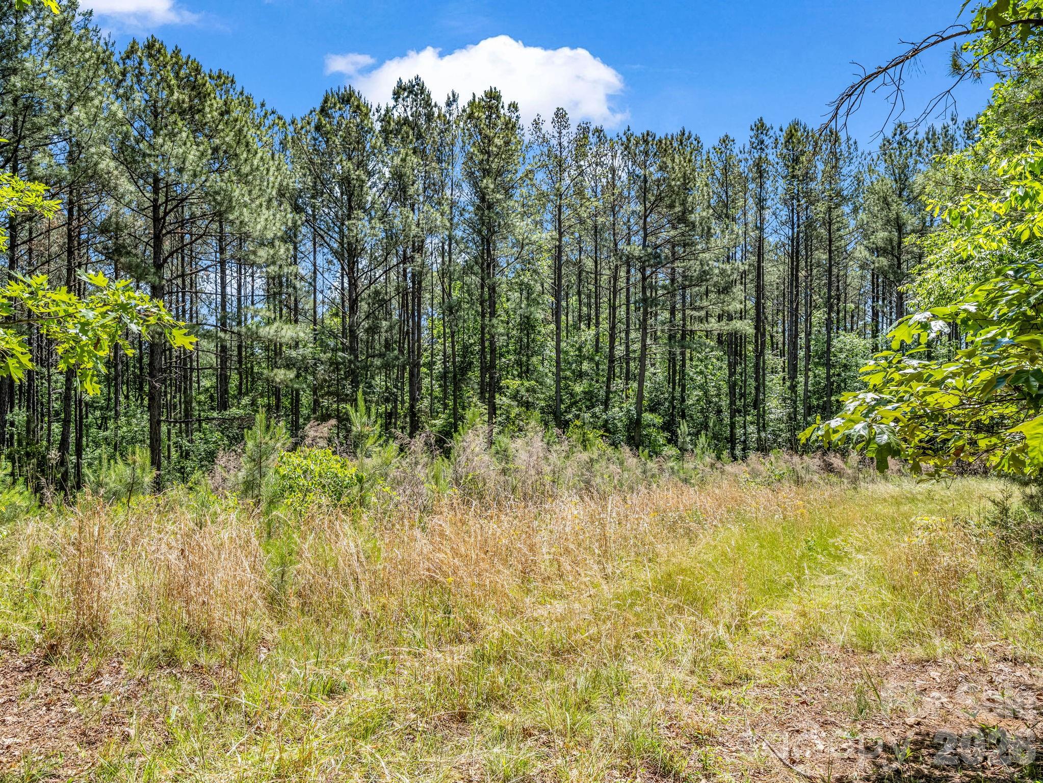 0 Jim Dobbins Road Property Photo 31