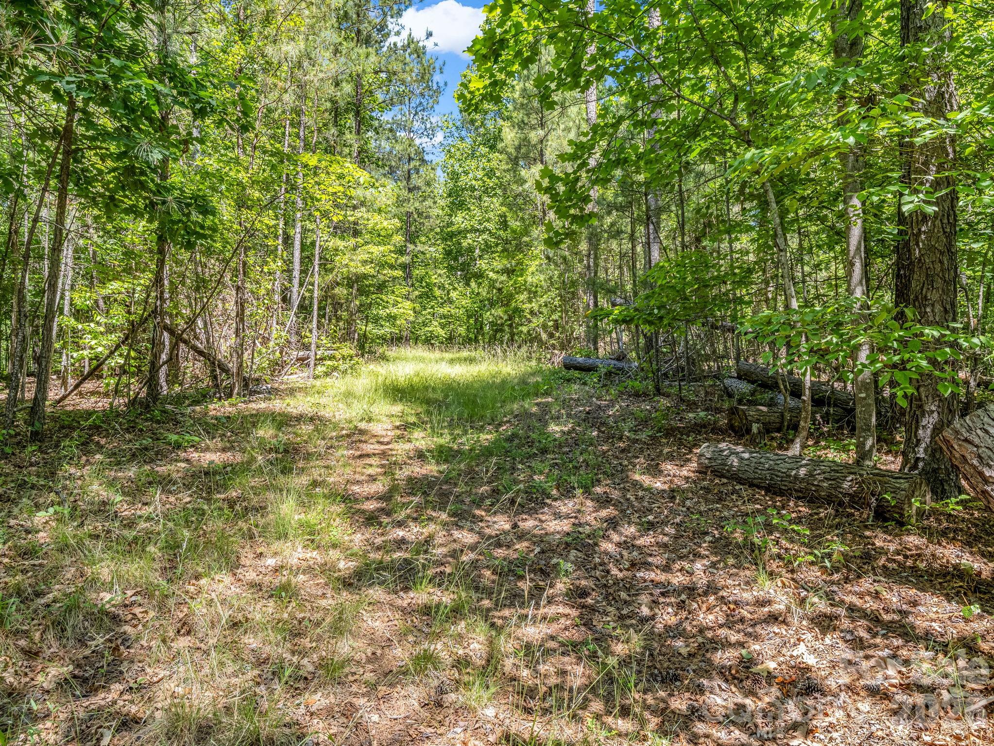 0 Jim Dobbins Road Property Photo 32