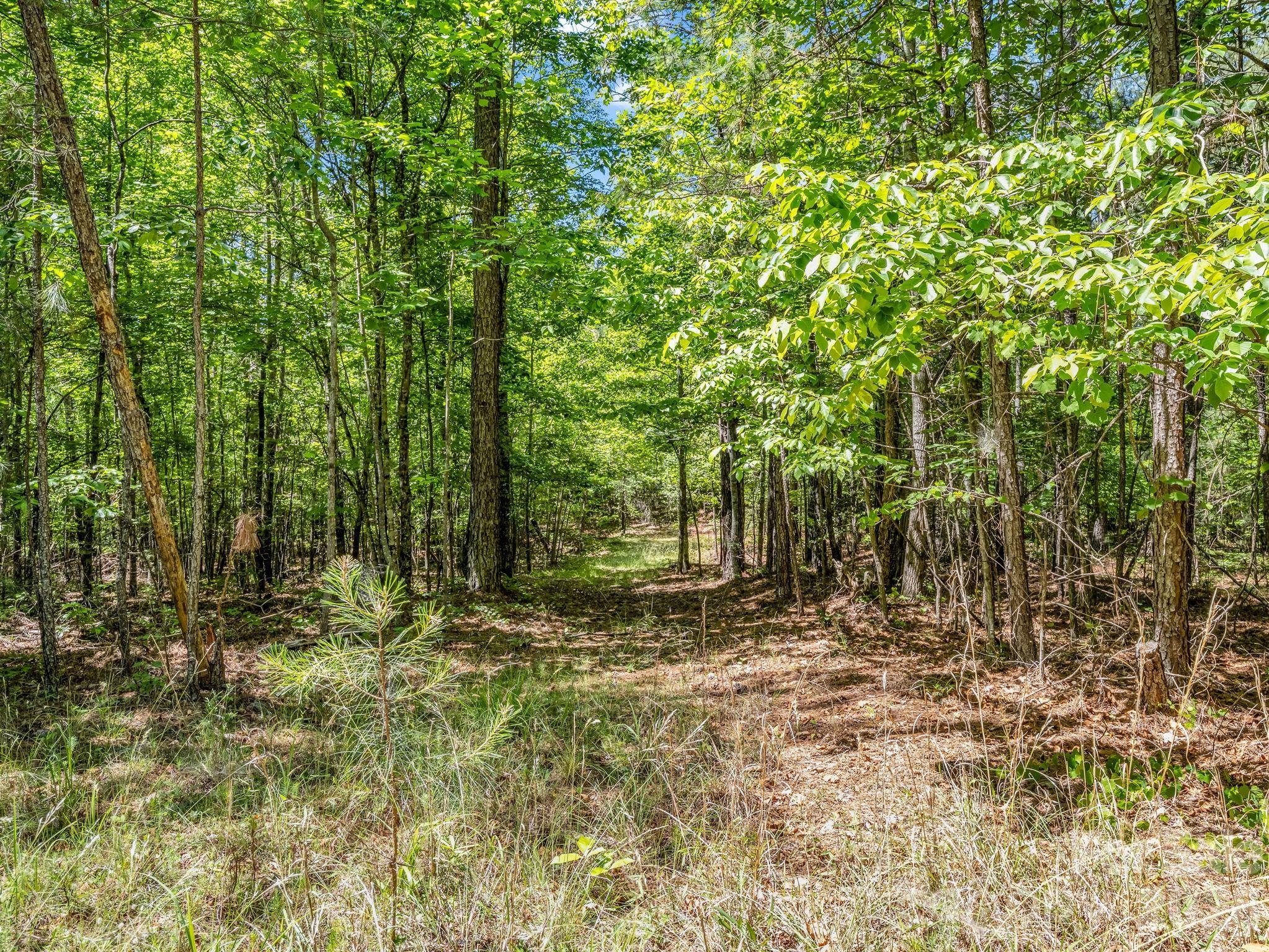 0 Jim Dobbins Road Property Photo 33