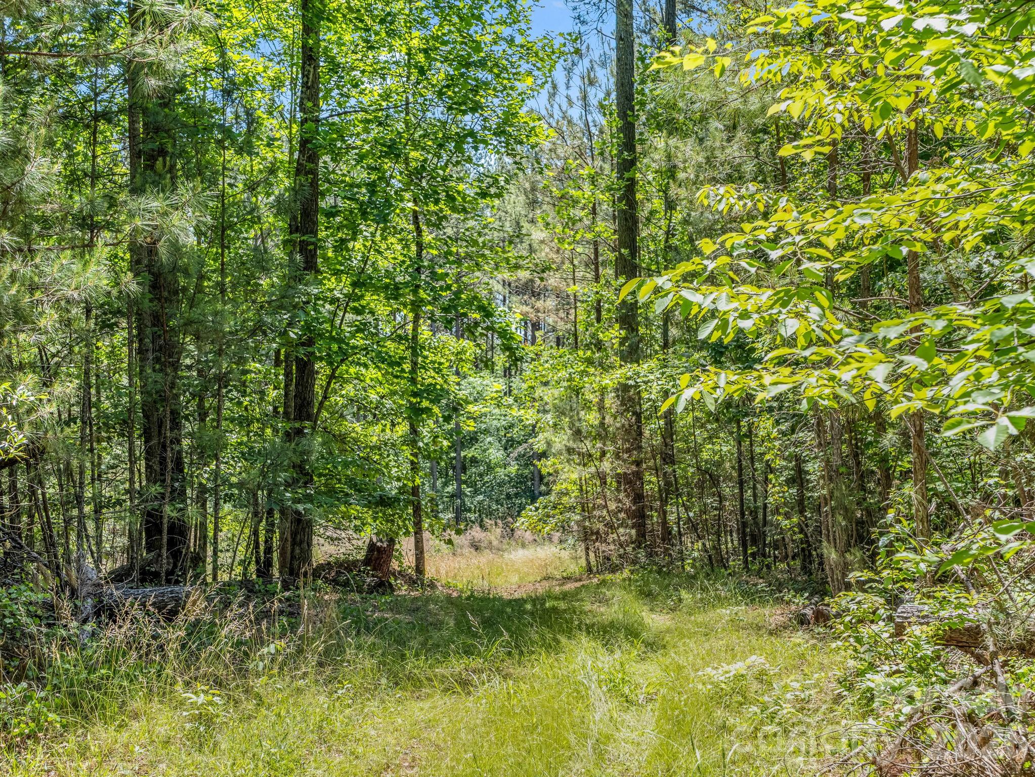 0 Jim Dobbins Road Property Photo 34