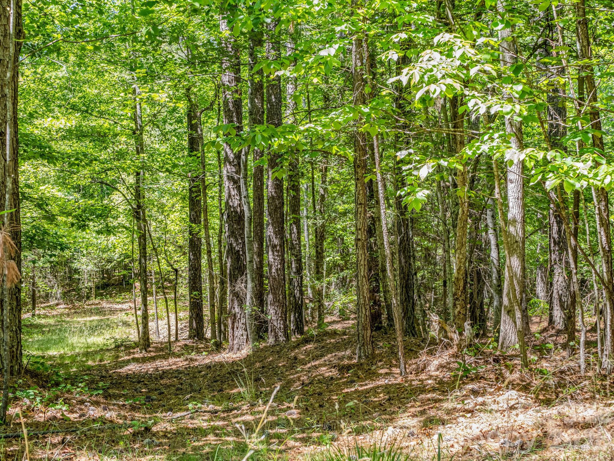 0 Jim Dobbins Road Property Photo 35