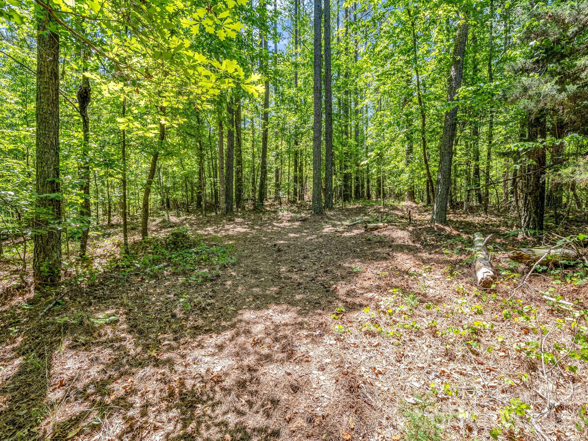 0 Jim Dobbins Road Property Photo 37