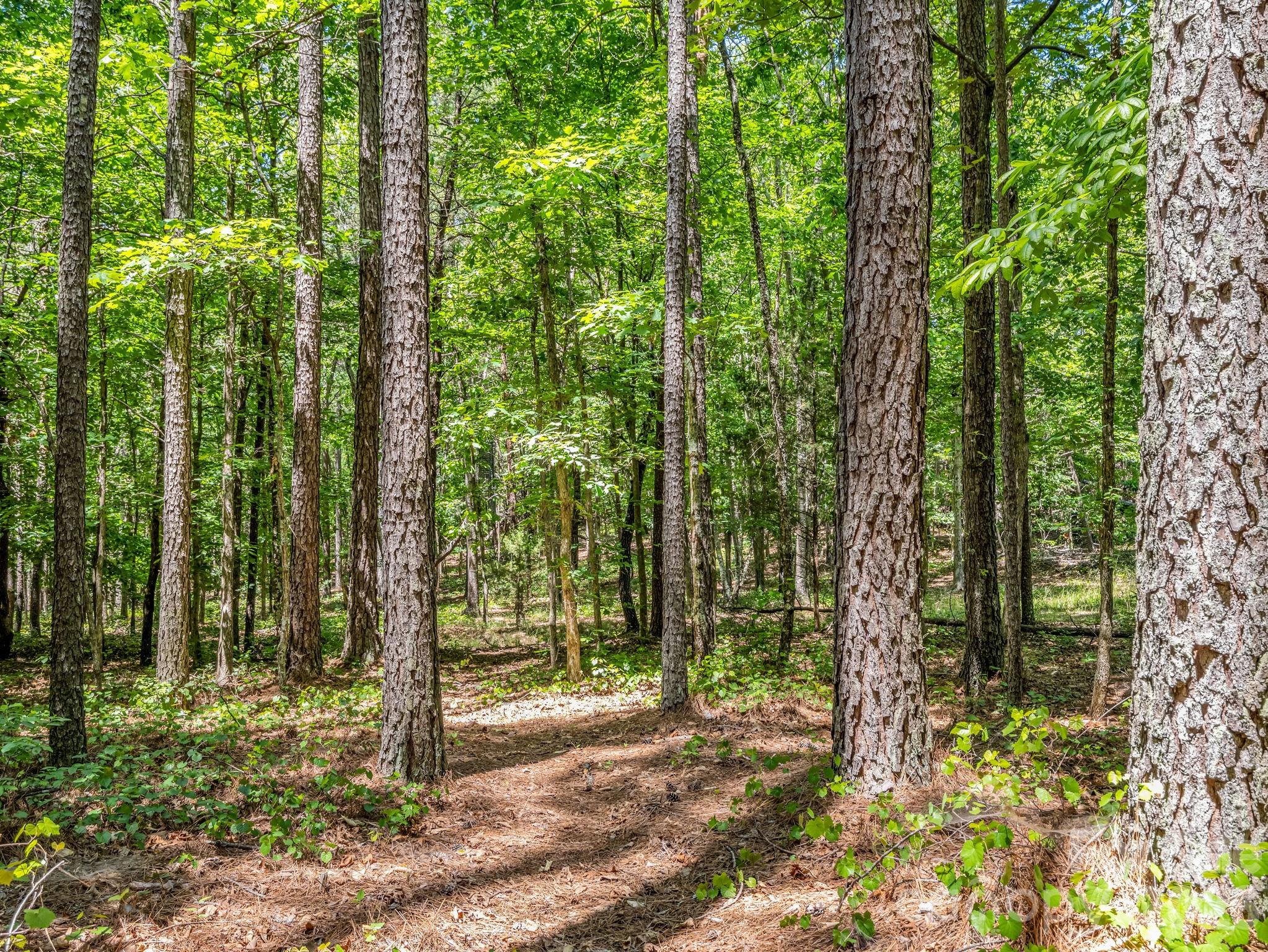0 Jim Dobbins Road Property Photo 38